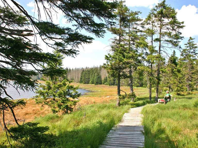 The most beautiful hiking tours in Harz National Park | Hiking ...