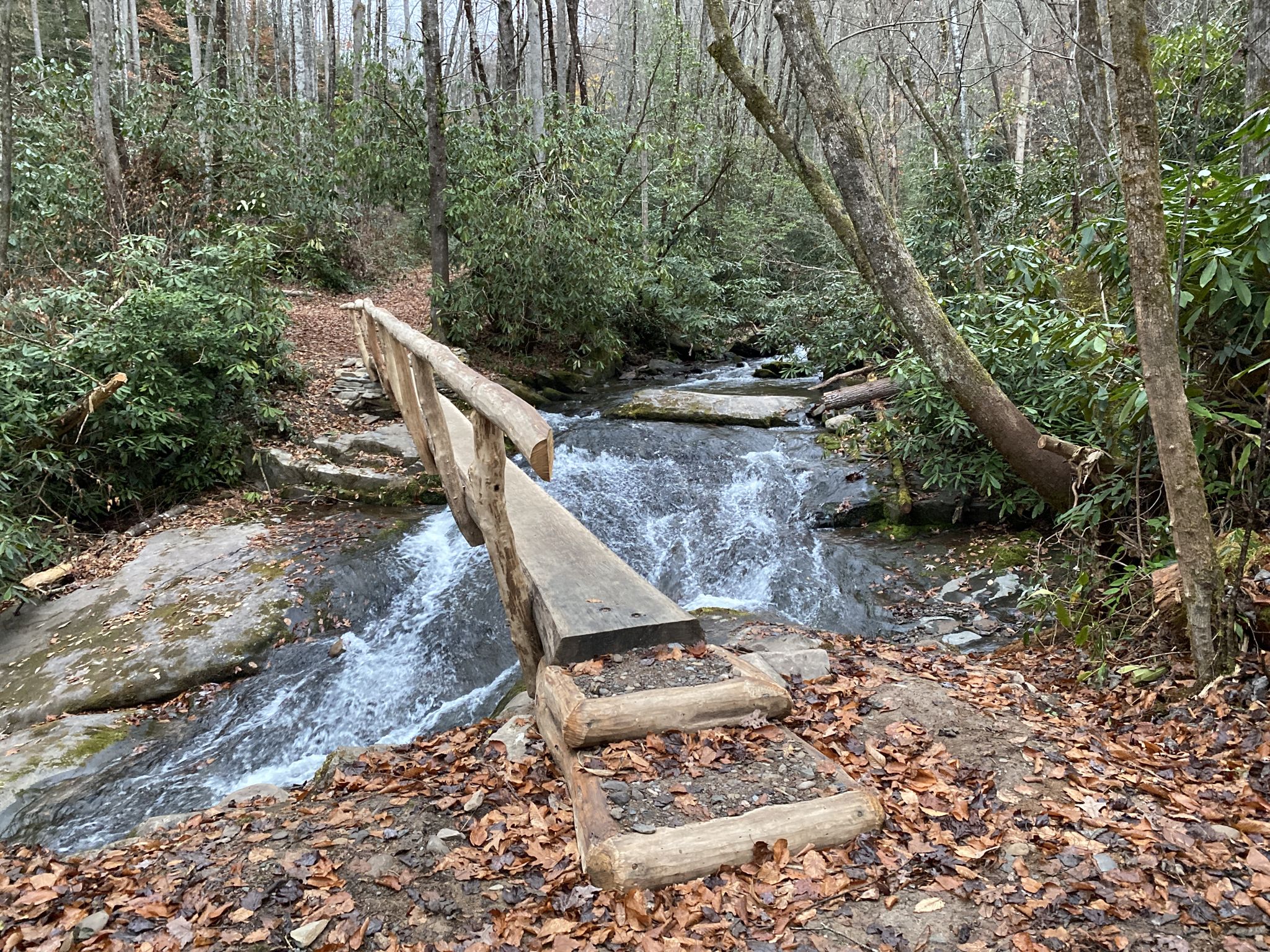 Wooden footbridge crosses a rocky, flowing stream in a lush, overcast forest. - Wolf Ridge Trail to Twenty Mile