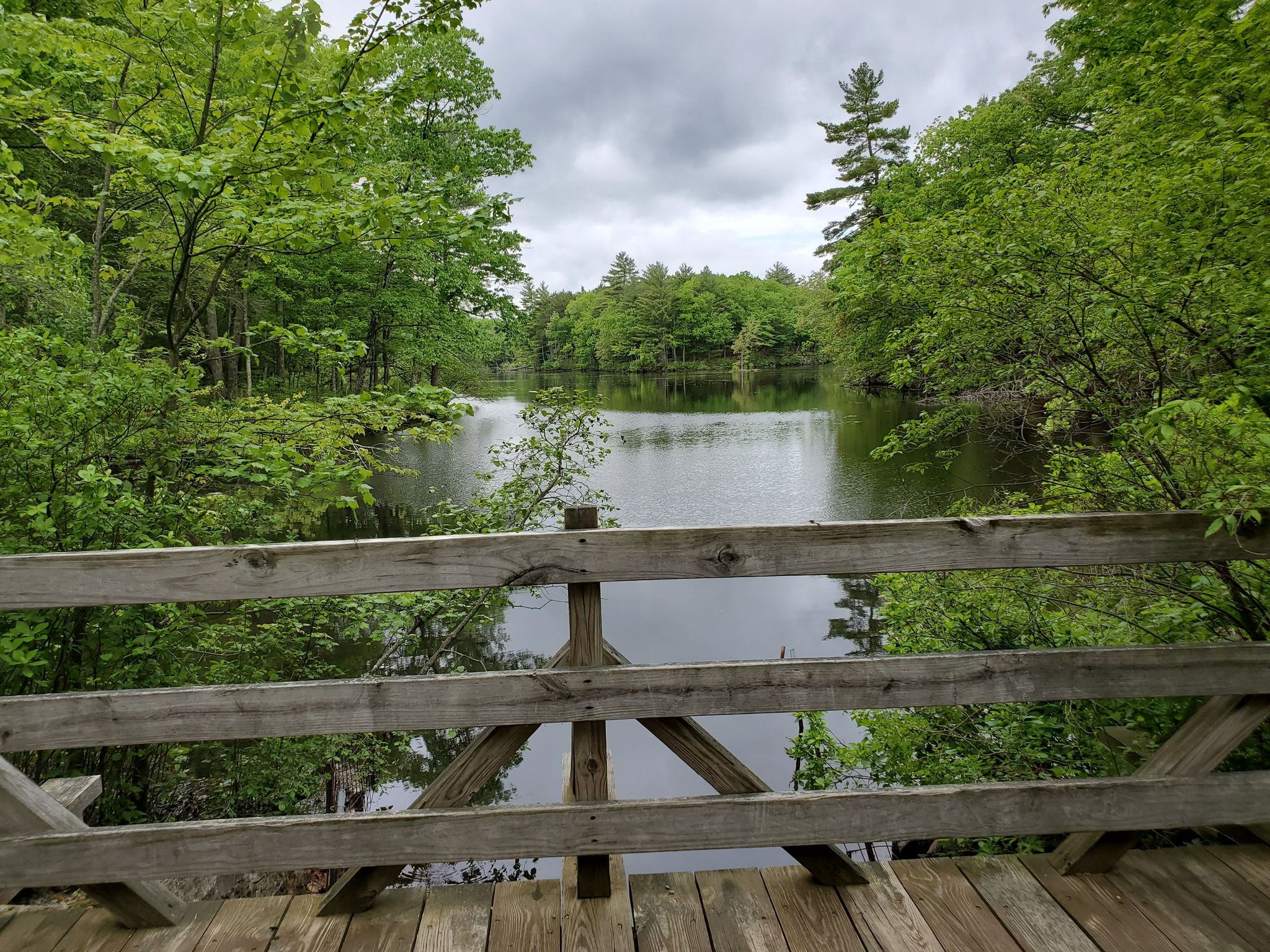 Wooden bridge railing overlooking calm water surrounded by lush green trees. - Salem Pond Outer Loop