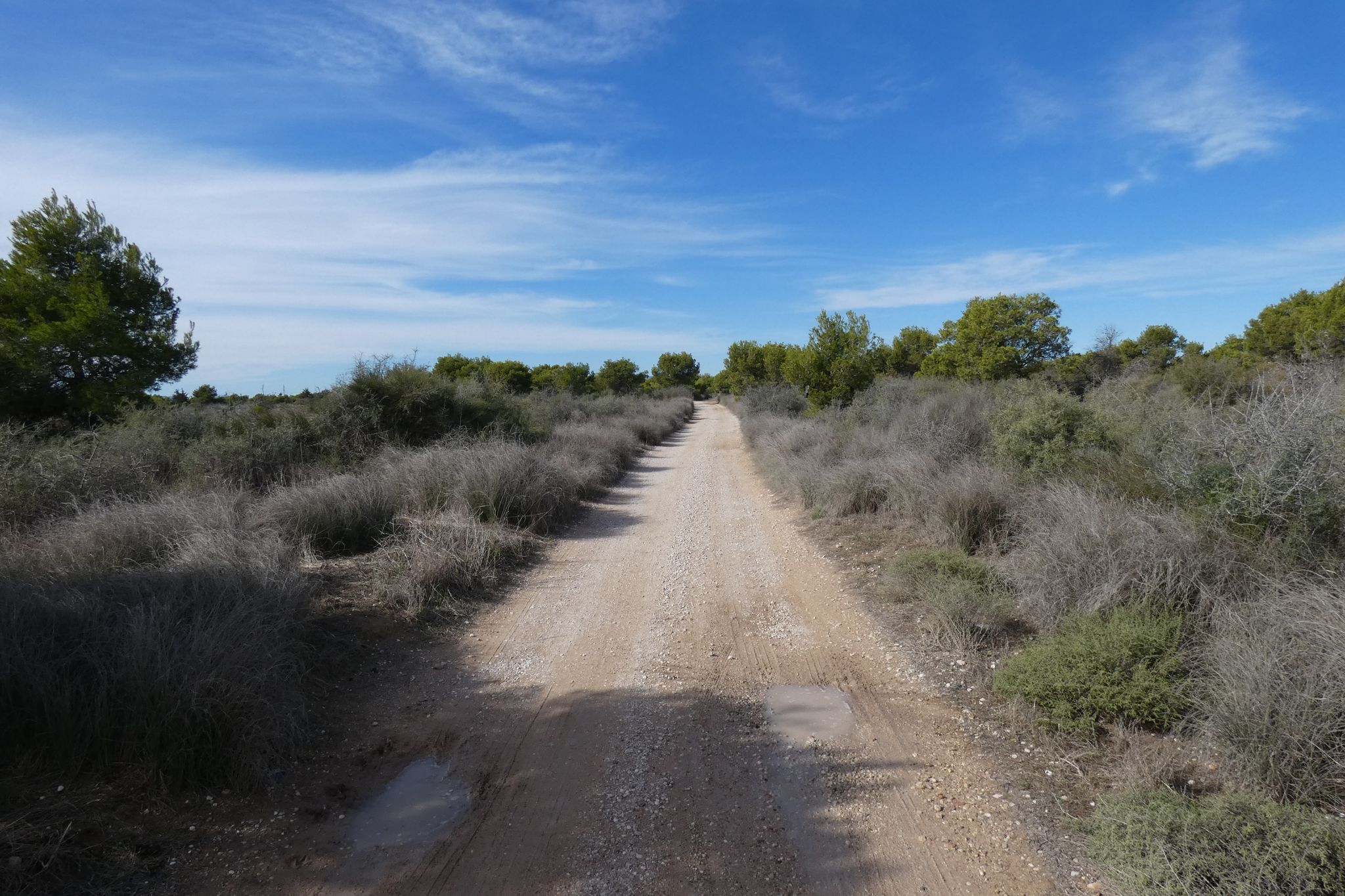 in der Sierra del Molar