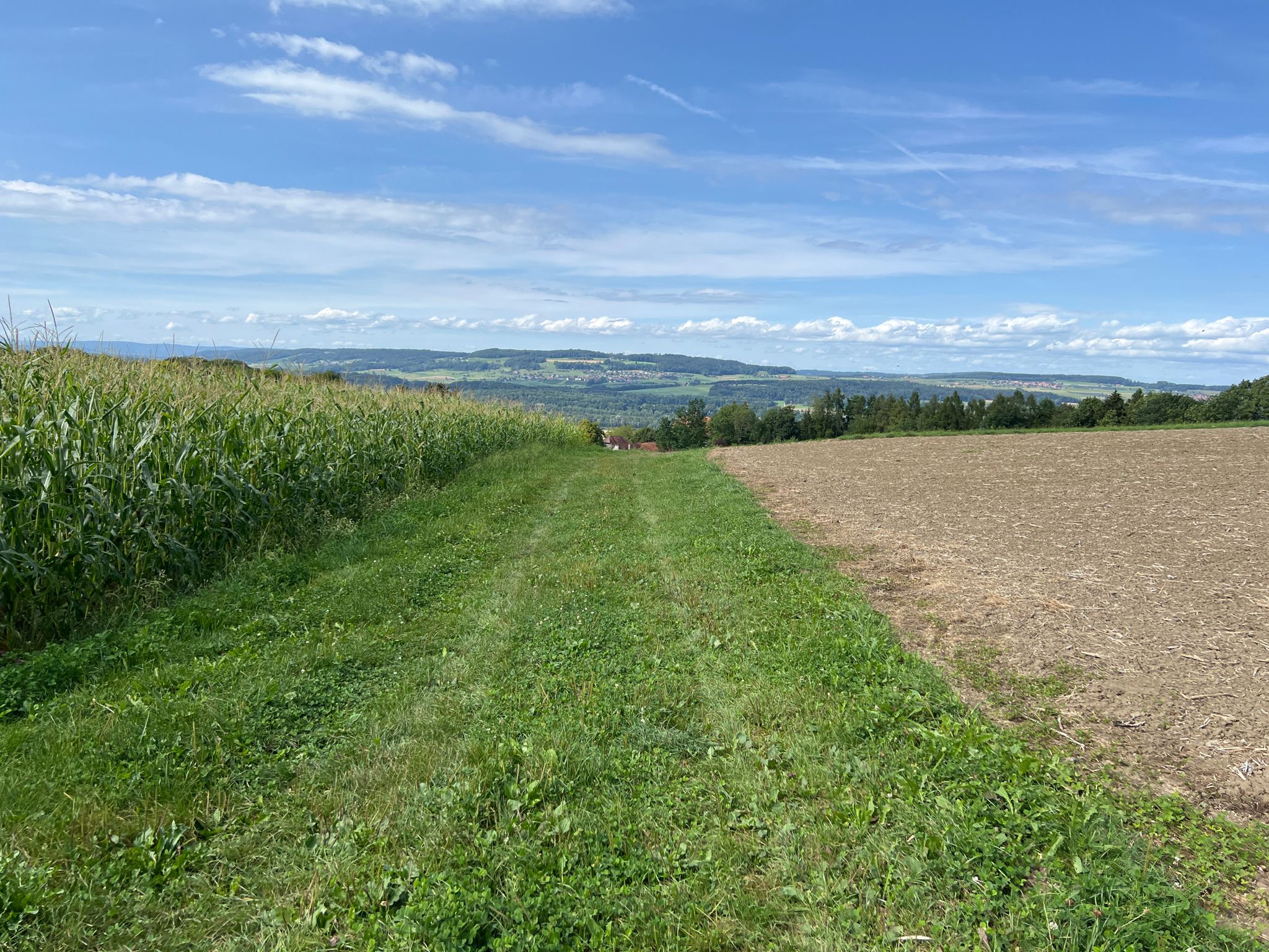 Weg über das Feld mit schönem Ausblick nach Frauenfeld und Umgebung