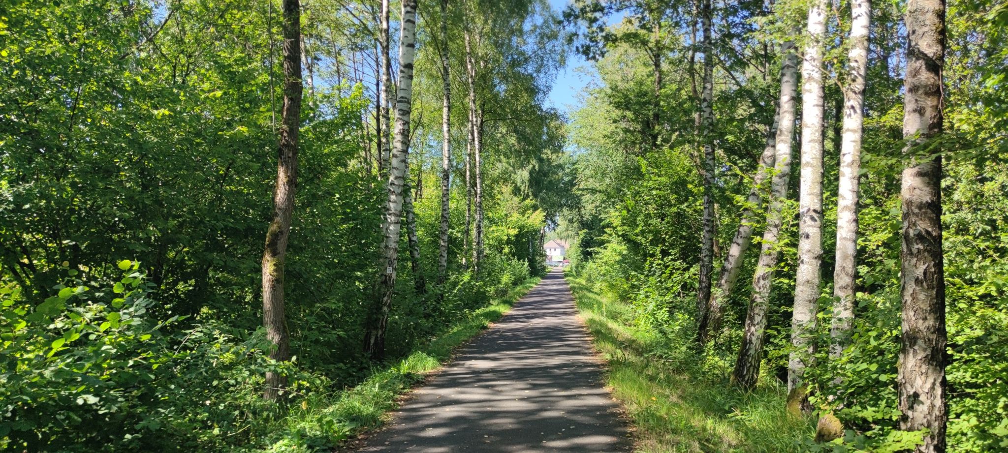 Einfahrt Bhf. Westerburg
