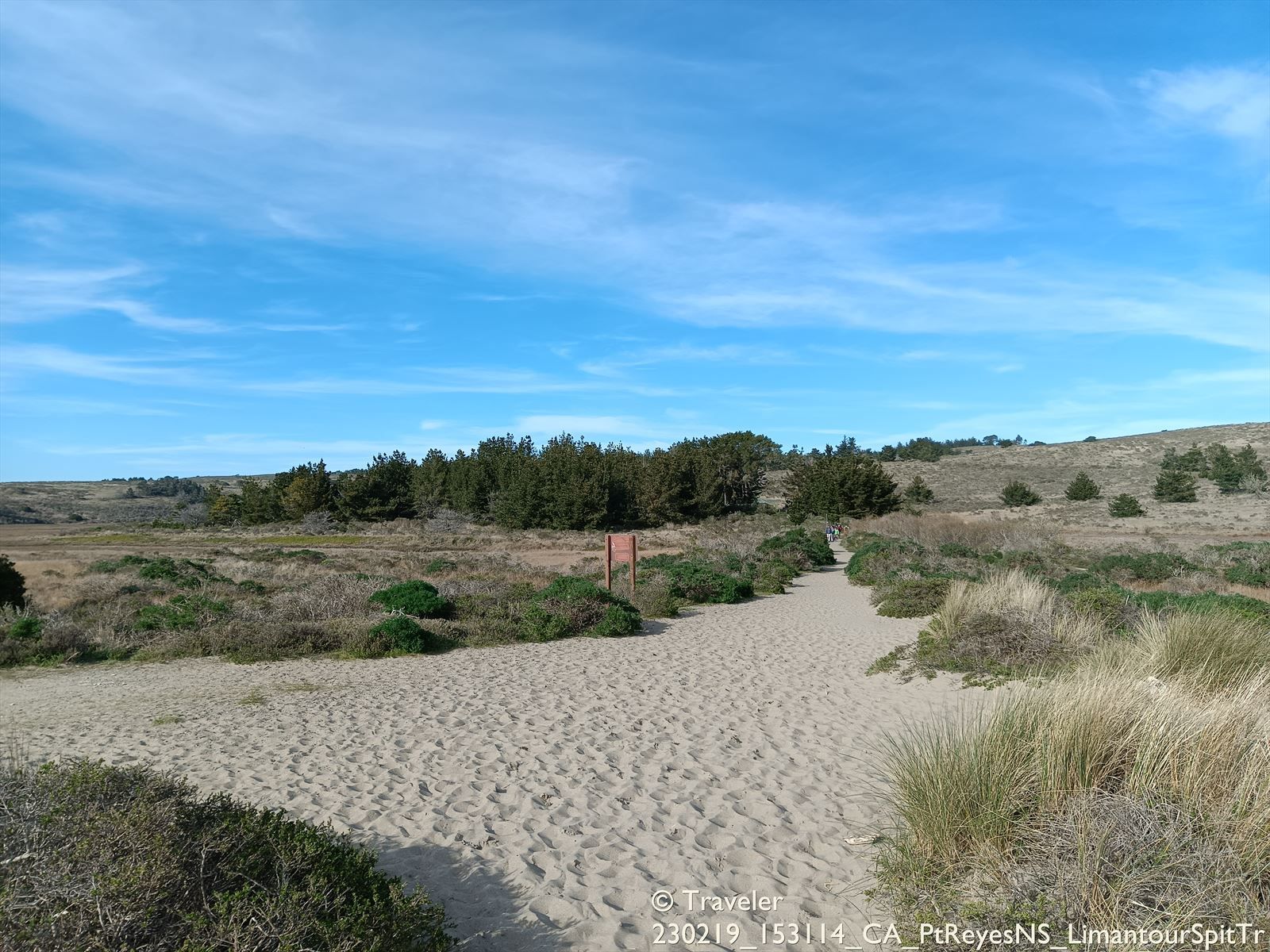 A sandy path leads through coastal scrubland towards distant trees under a blue sky. - Muddy Hollow and Coast Trail Loop