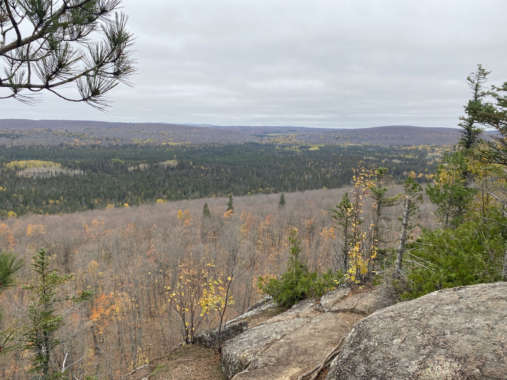 Overcast view of a vast autumn forest from a rocky cliff. - Leveaux Mountain Loop Trail