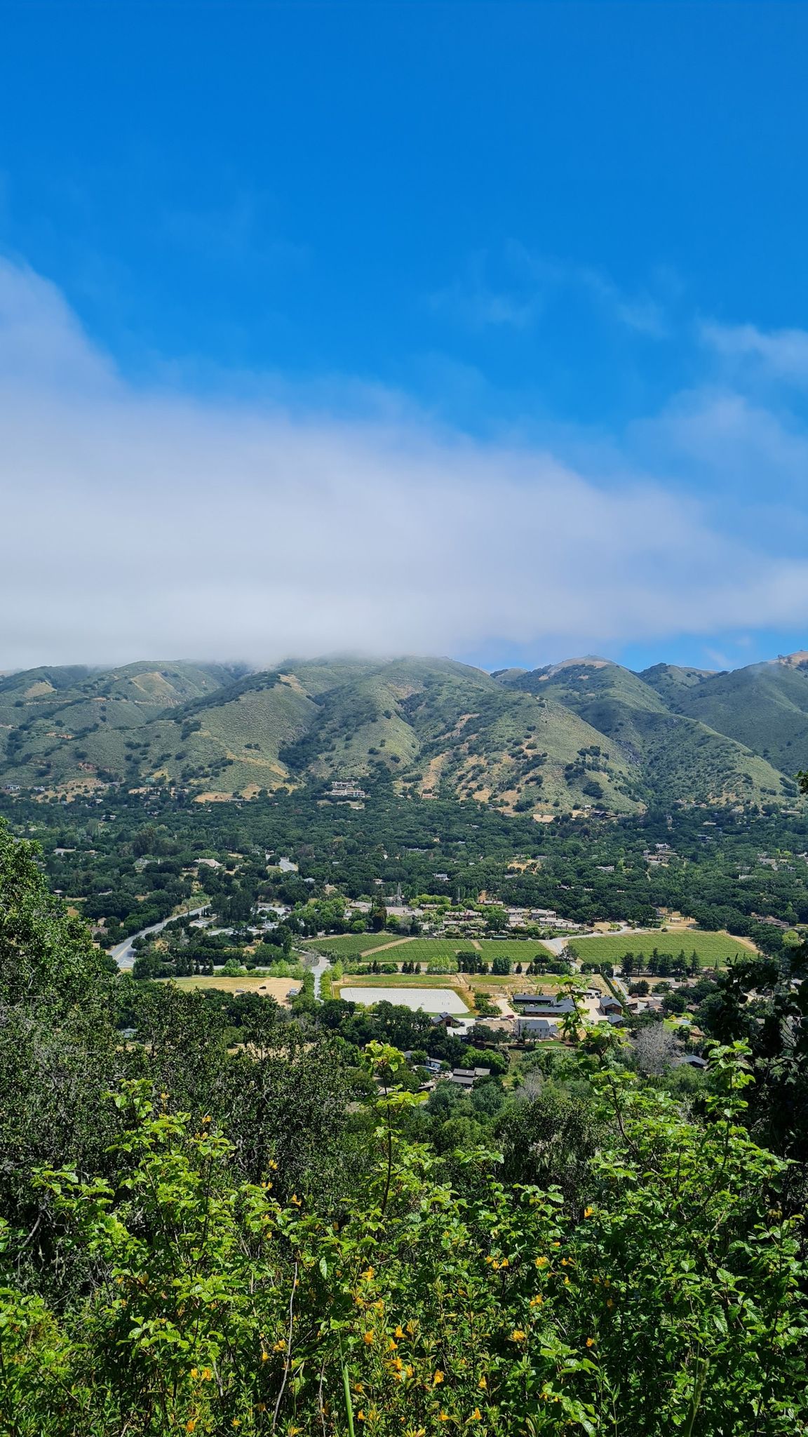 Overlook of a green valley with buildings and distant mountains under blue sky. - Mesa Trail – Mesa Pond loop from Garland Ranch Regional Park