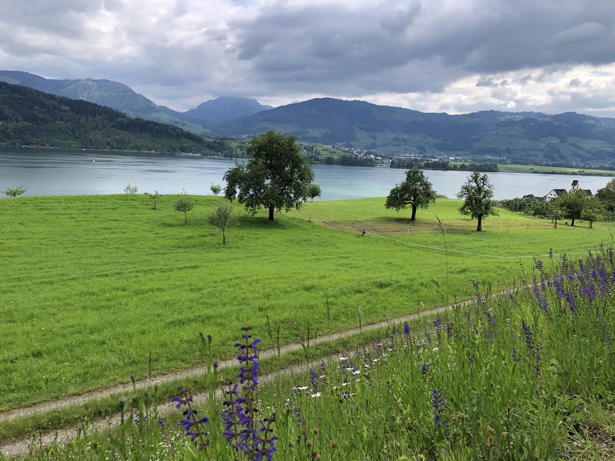 Blick auf Obersee und Bolligen, hinteen der Gross Aubrig