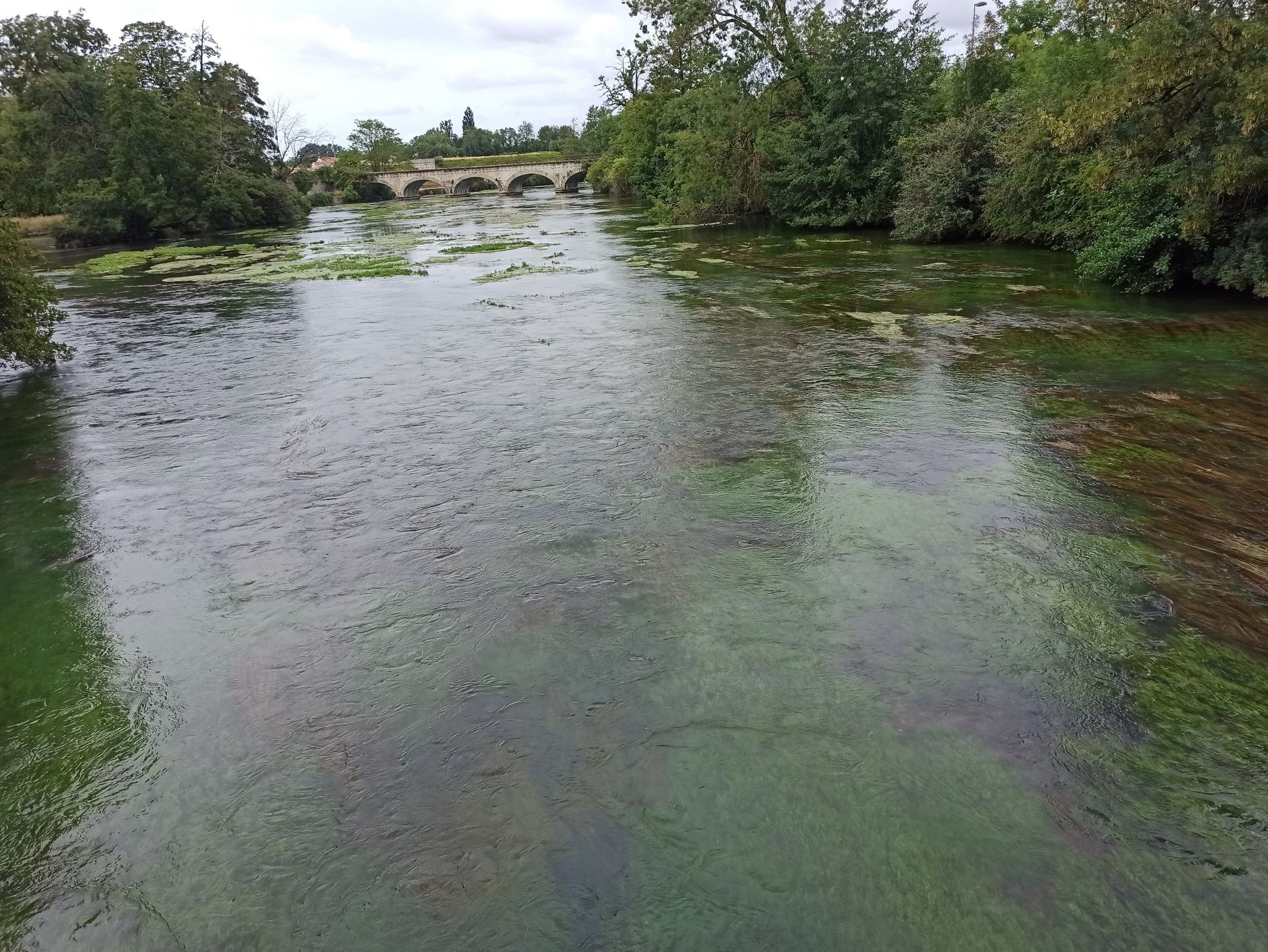 la touvte