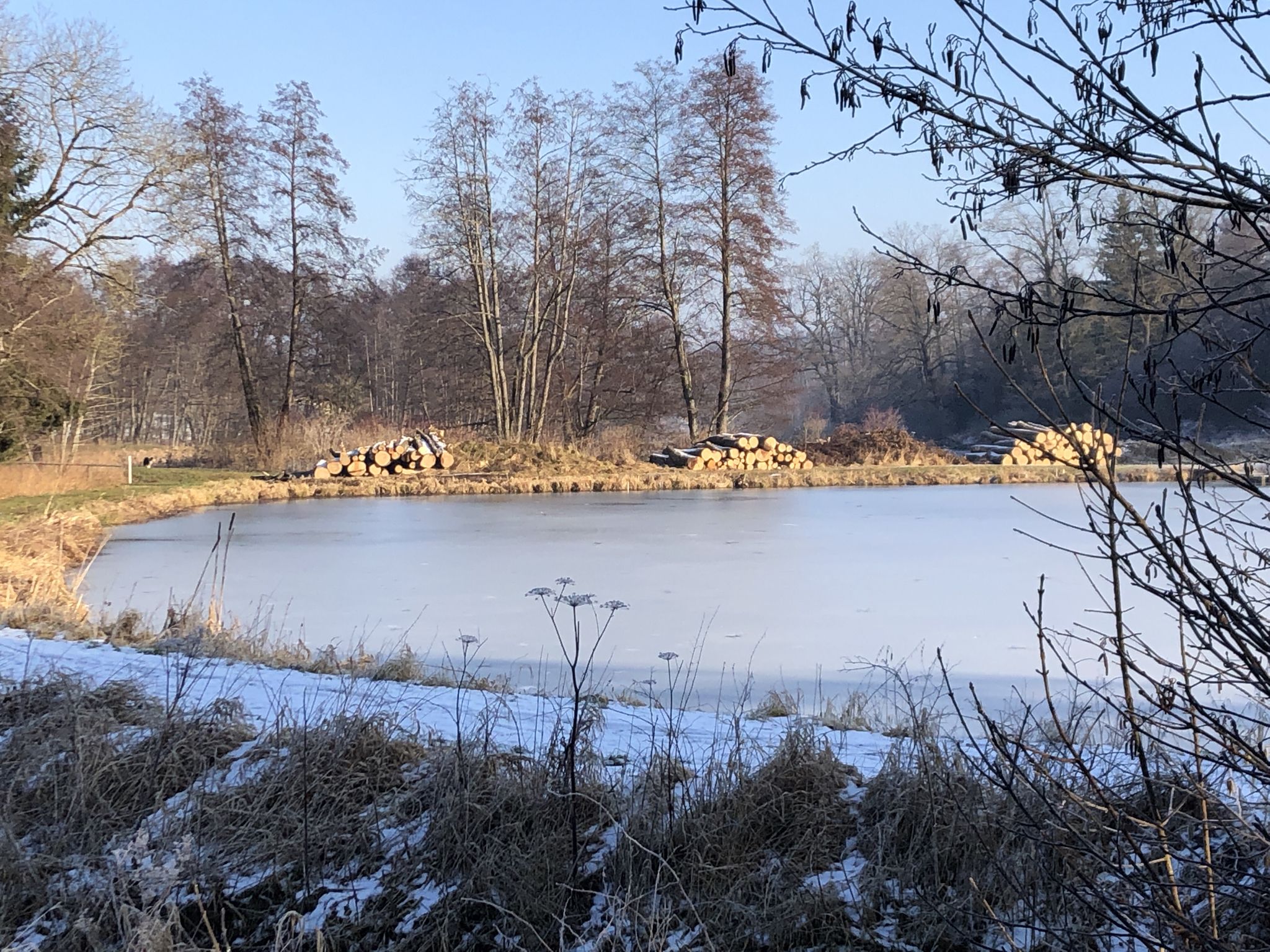 Ziegelweiher