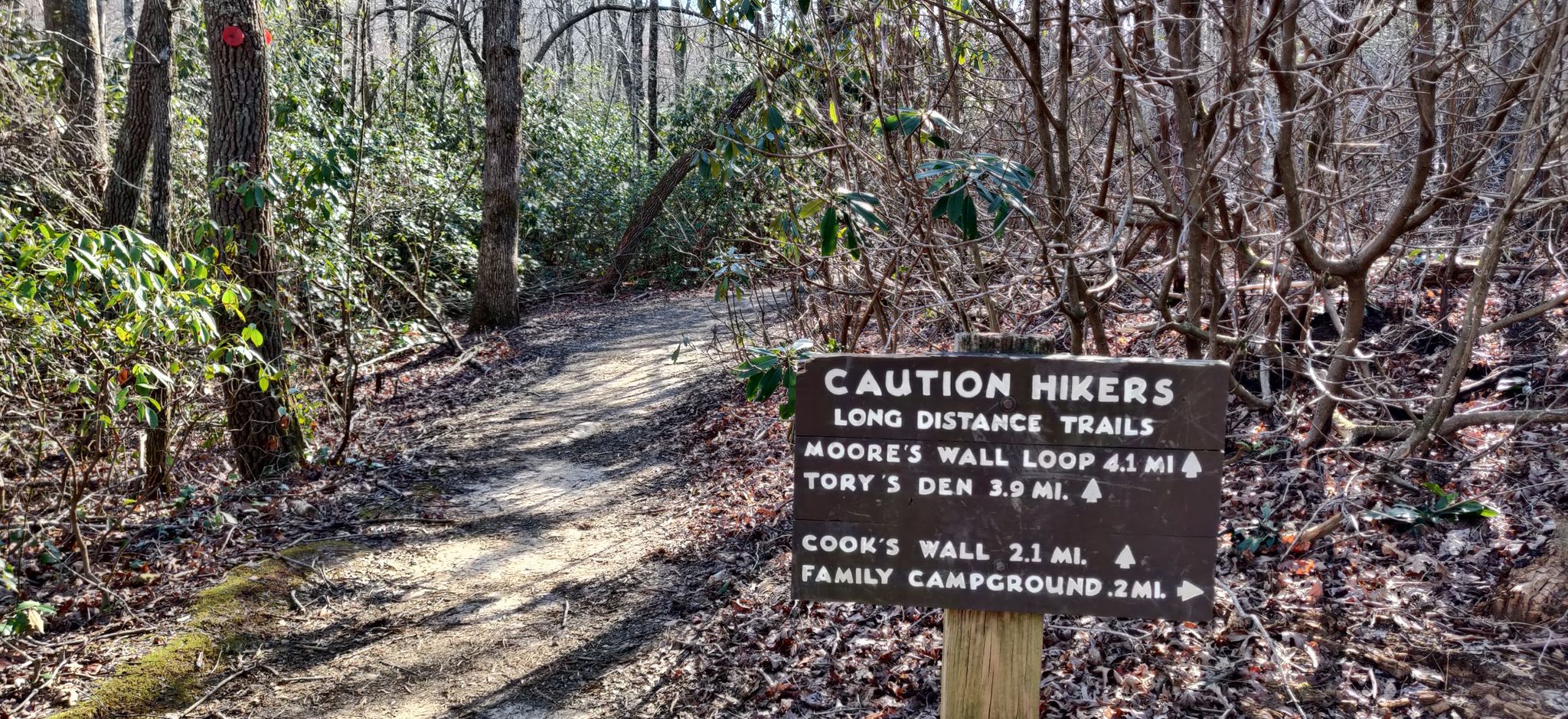 A wooden trail sign next to a dirt path in a dense, sunlit forest. - Moore's Knob Lookout Tower Trail