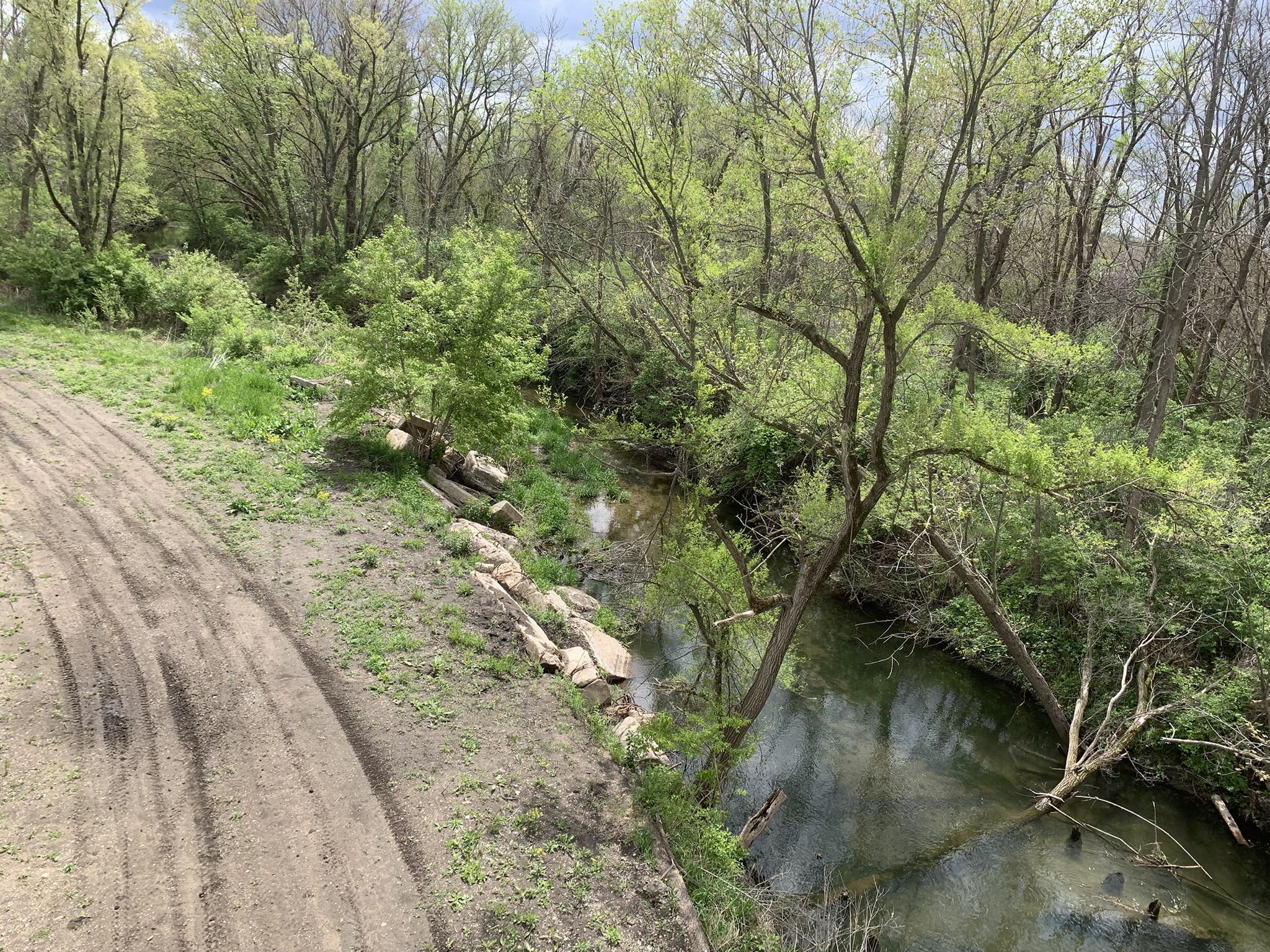 Narrow stream flows through dense green foliage with a dirt path nearby. - High Trestle Trail