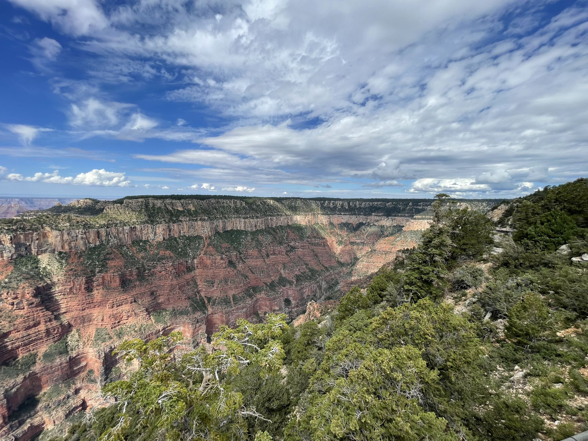 Wide canyon with layered rock formations, green trees, and a cloudy blue sky. - Transept Trail