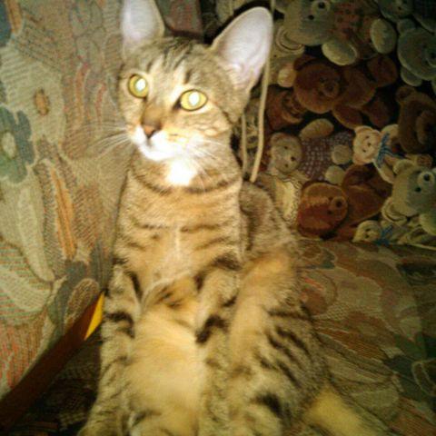 user avatar