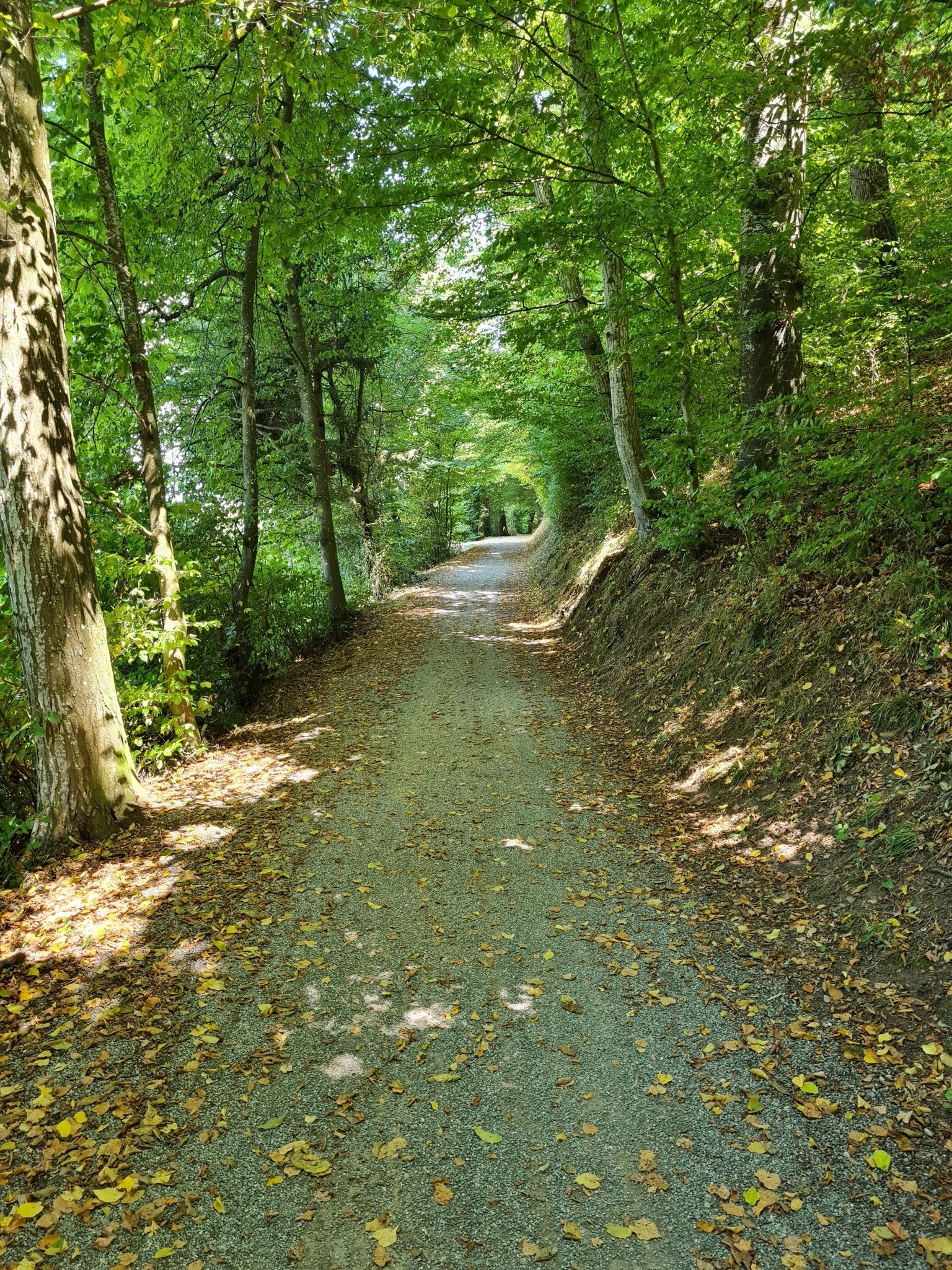 Hohle Gasse Gräniche / Suhr