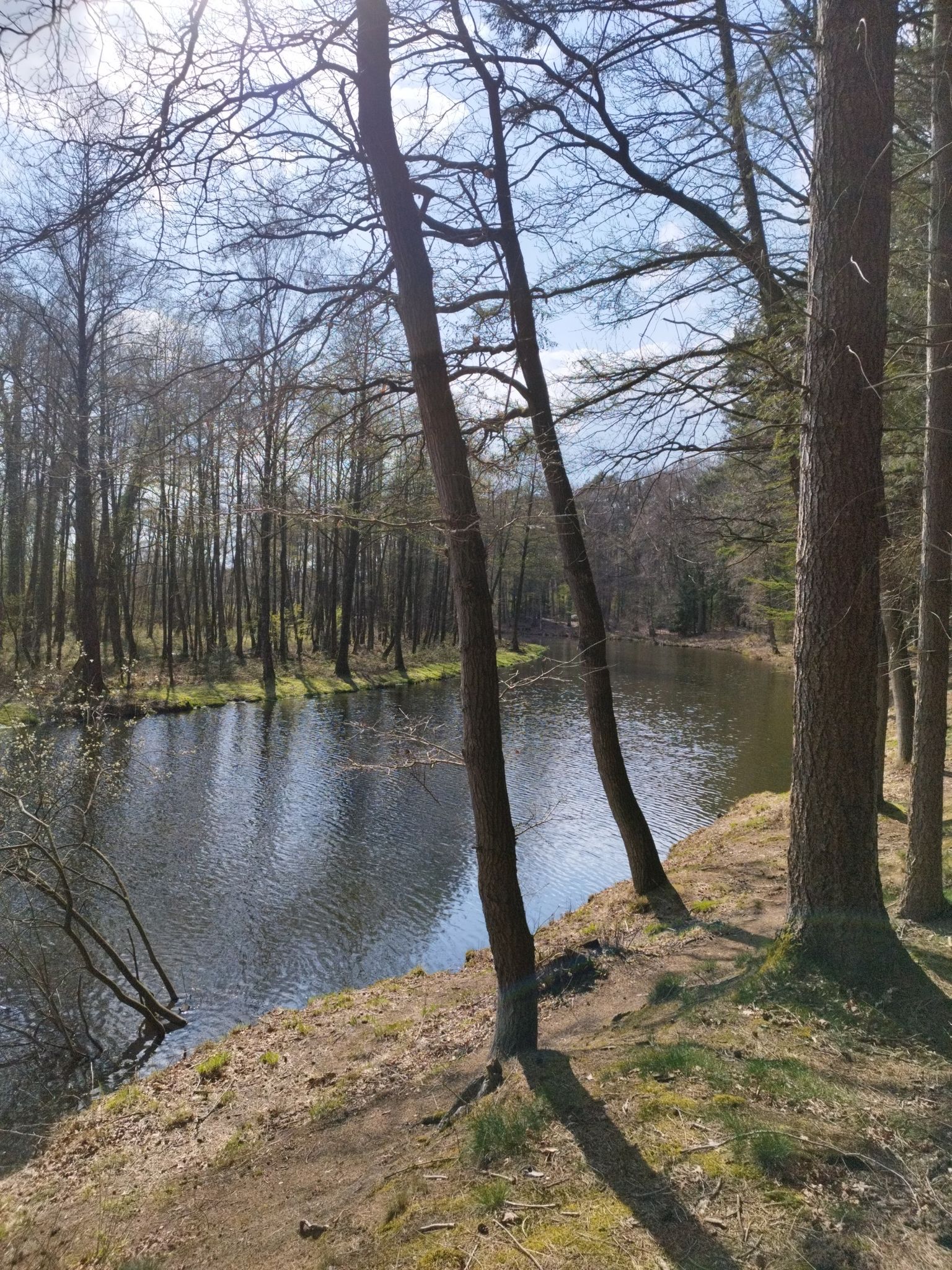 Teiche in Böen