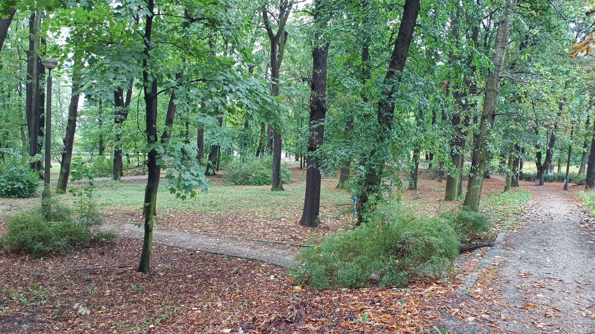 Hajda Park...