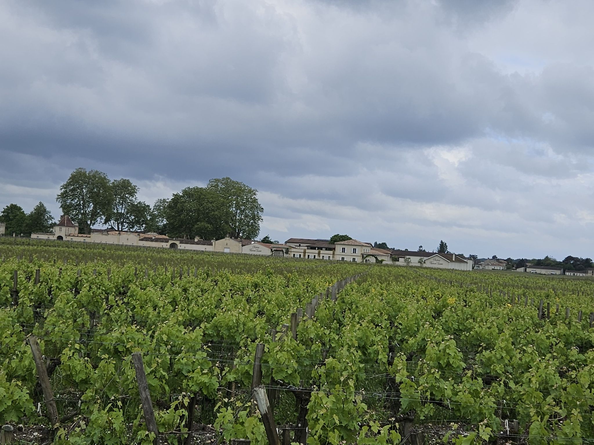 margaux