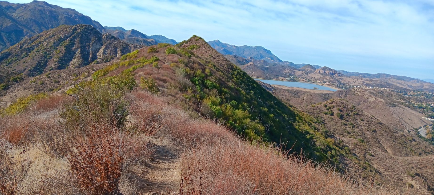 Mountain ridge with dry brush, green trees, distant lake under blue sky. - Pentachaeta and Westlake Vista Trail Loop