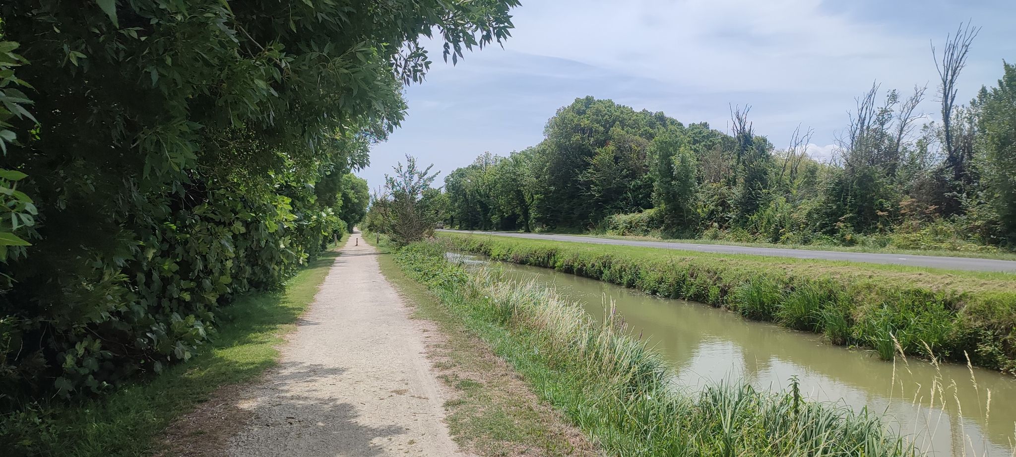 Gironderadweg V80