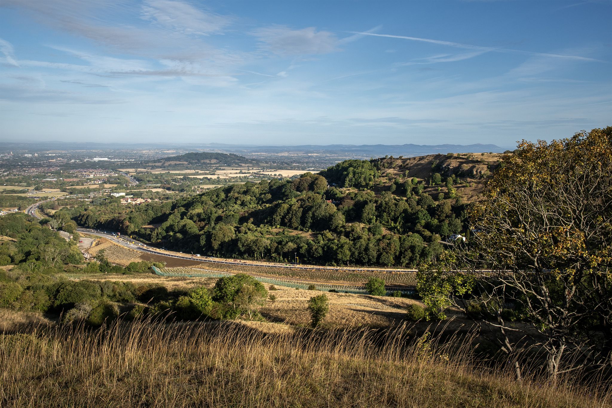Leckhampton Hill