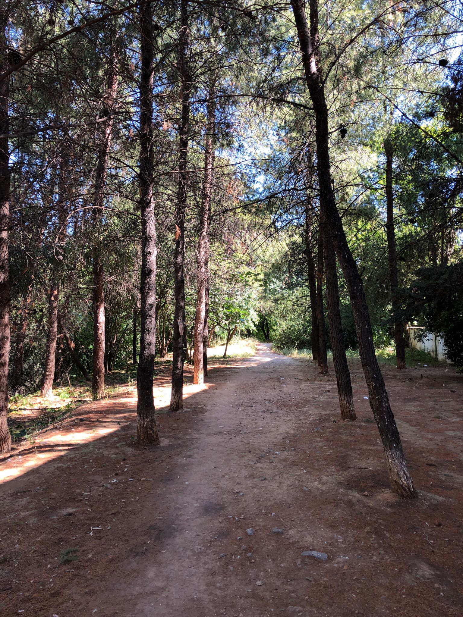 Χαλάνδρι | Ρέμα Πολυδρόσου (ρεματιά Πεντέλης - Χαλανδρίου)