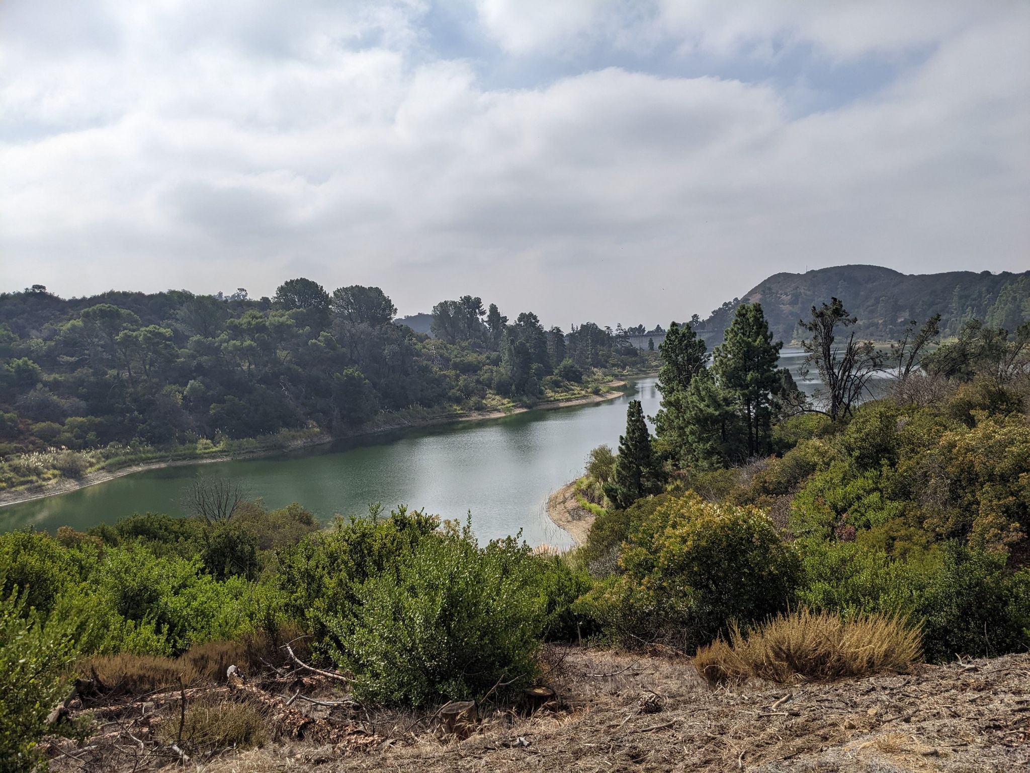 A winding green lake surrounded by dense forest under a cloudy sky. - Melhorn Overlook loop from Zev Yaroslavsky Las Virgenes Highlands Park