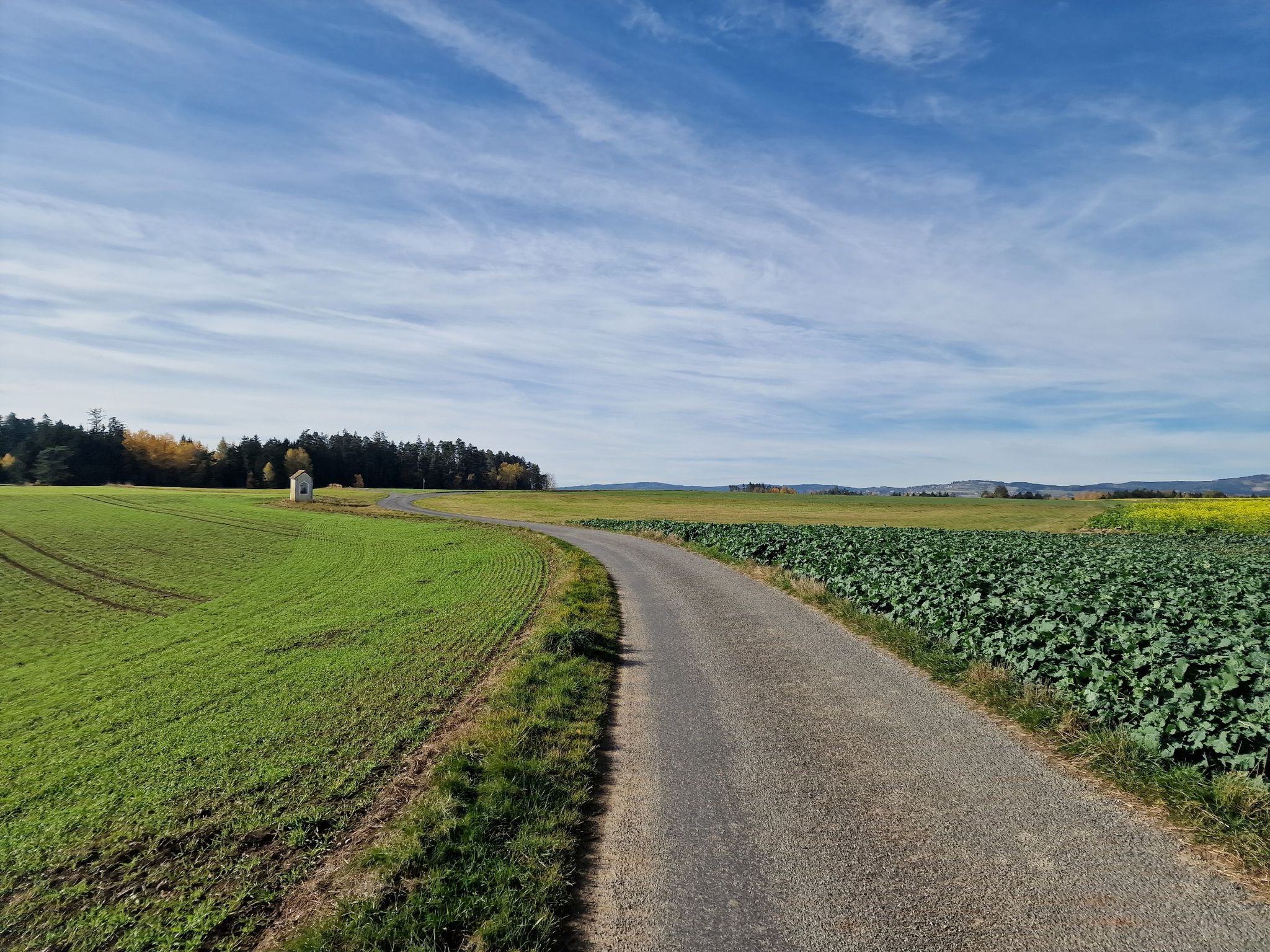 Am Weg nach Dietmanns