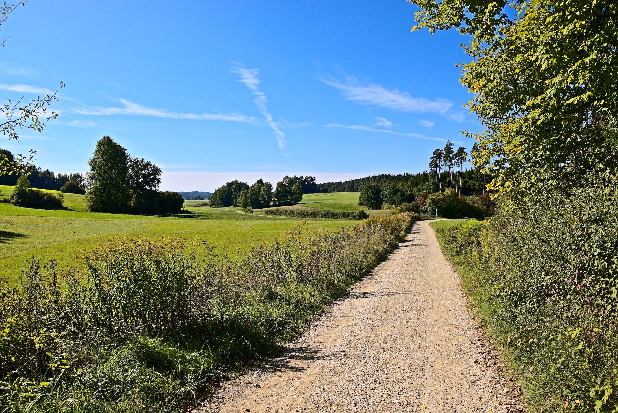 Ausfahrt aus dem Wald am Ende der Überlandroute