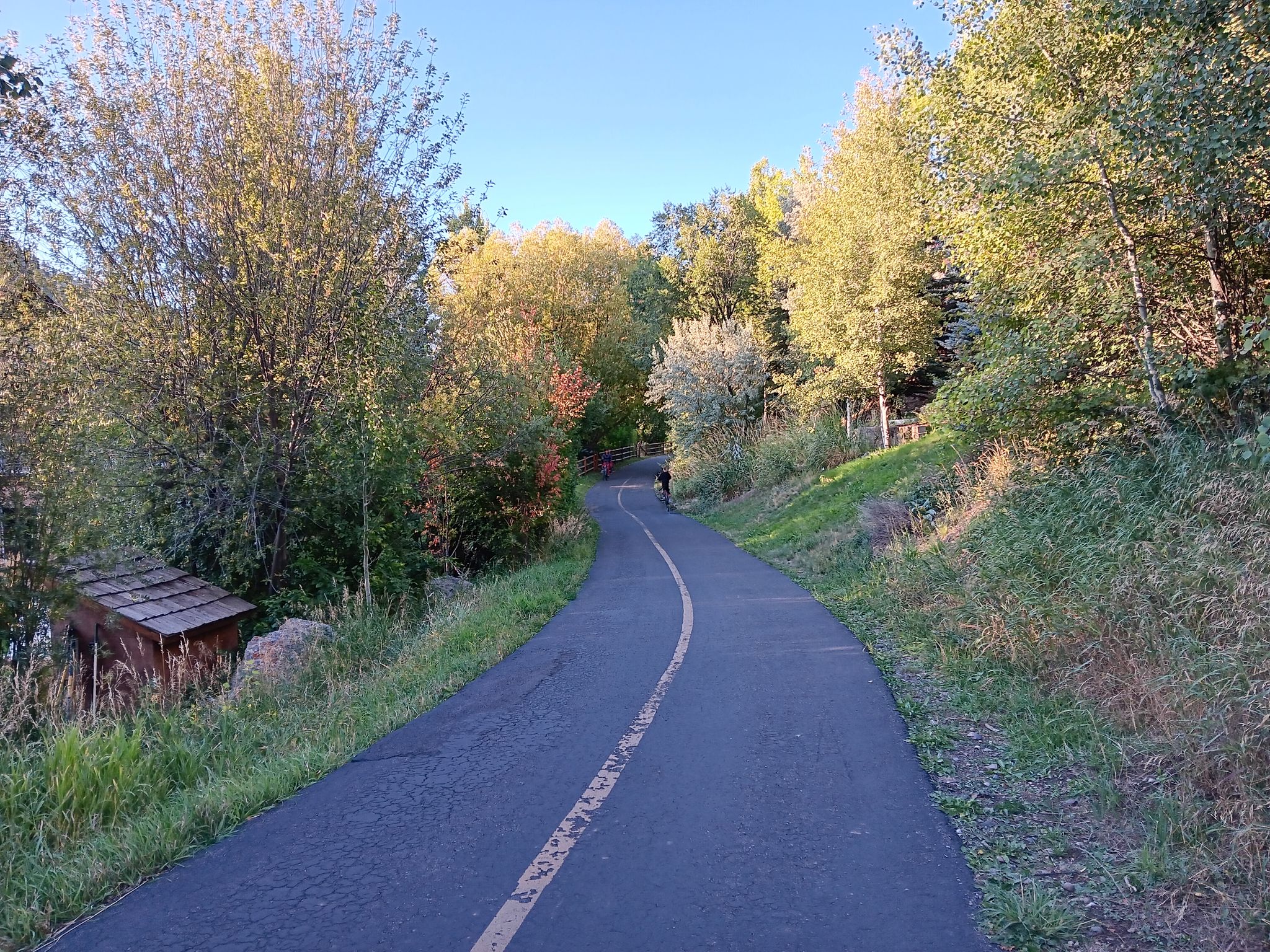Paved path curving through dense green trees and shaded foliage. - South Park Pathway loop from Jackson
