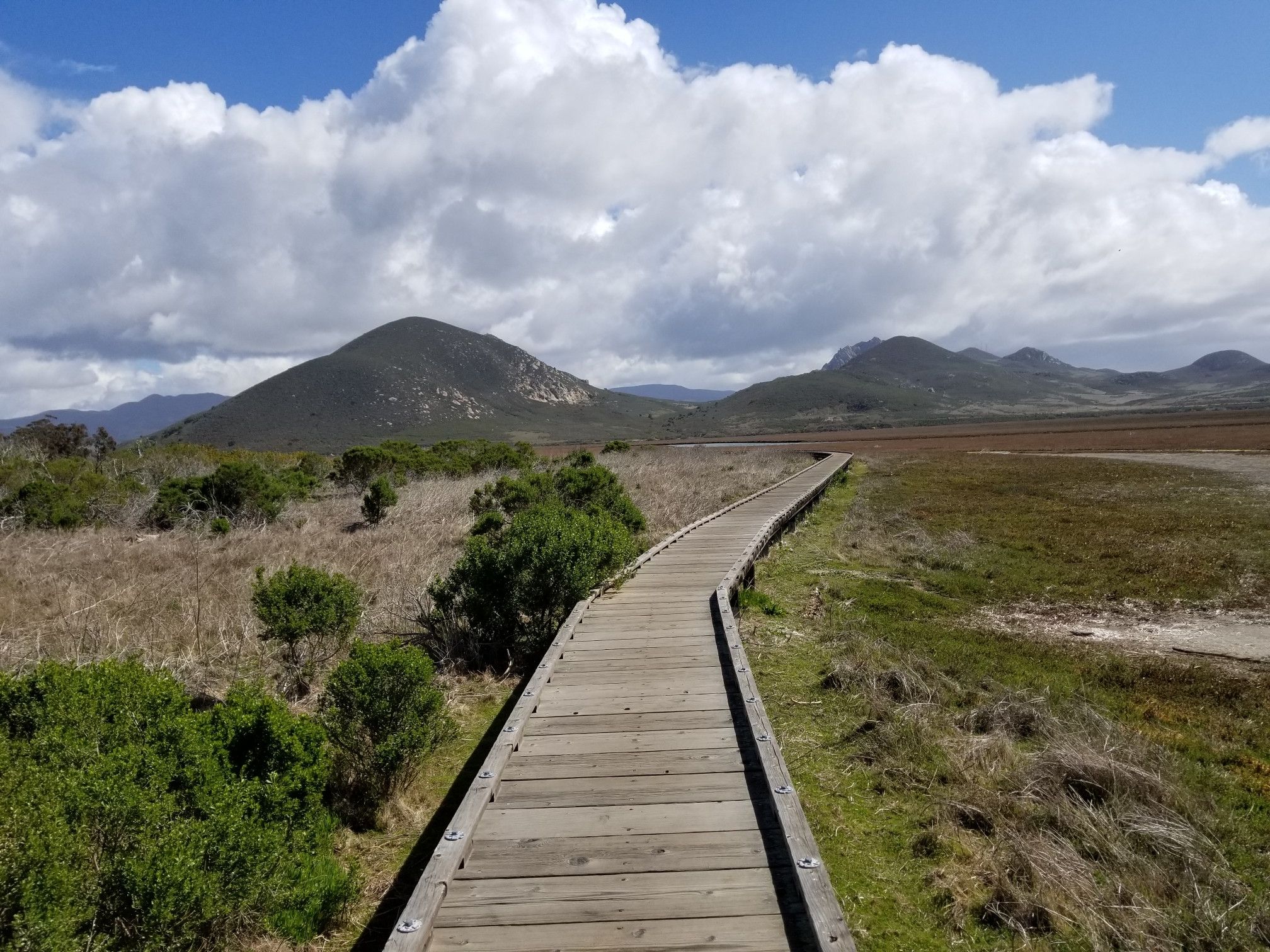 Wooden boardwalk through marshland, mountains in distance, partly cloudy sky. - El Moro Elfin Forest Preserve – El Moro Elfin Forest Preserve loop from Morro Bay State Park