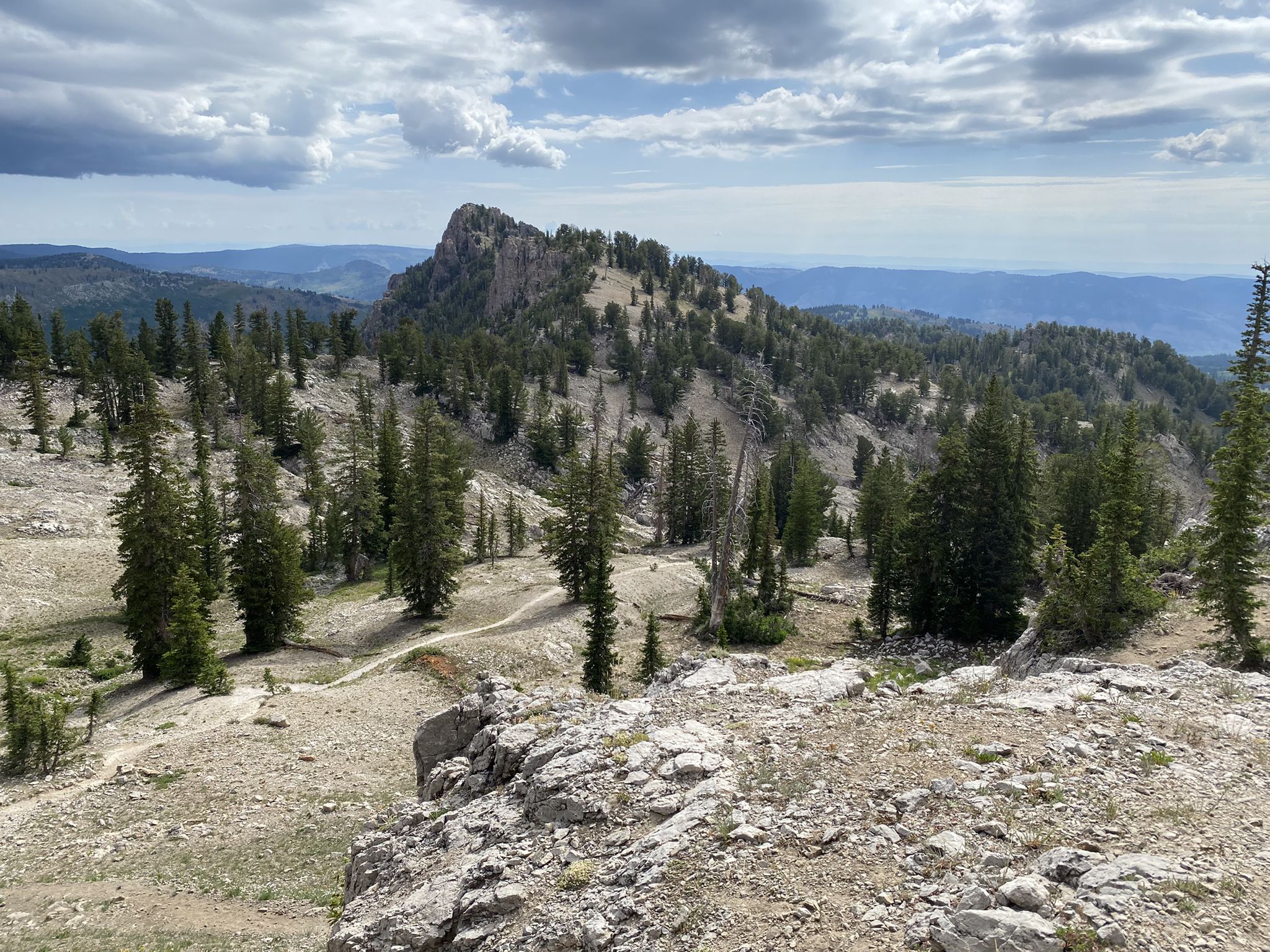 Rocky foreground overlooking a forested mountain peak under a partly cloudy sky. - Naomi Peak Trail