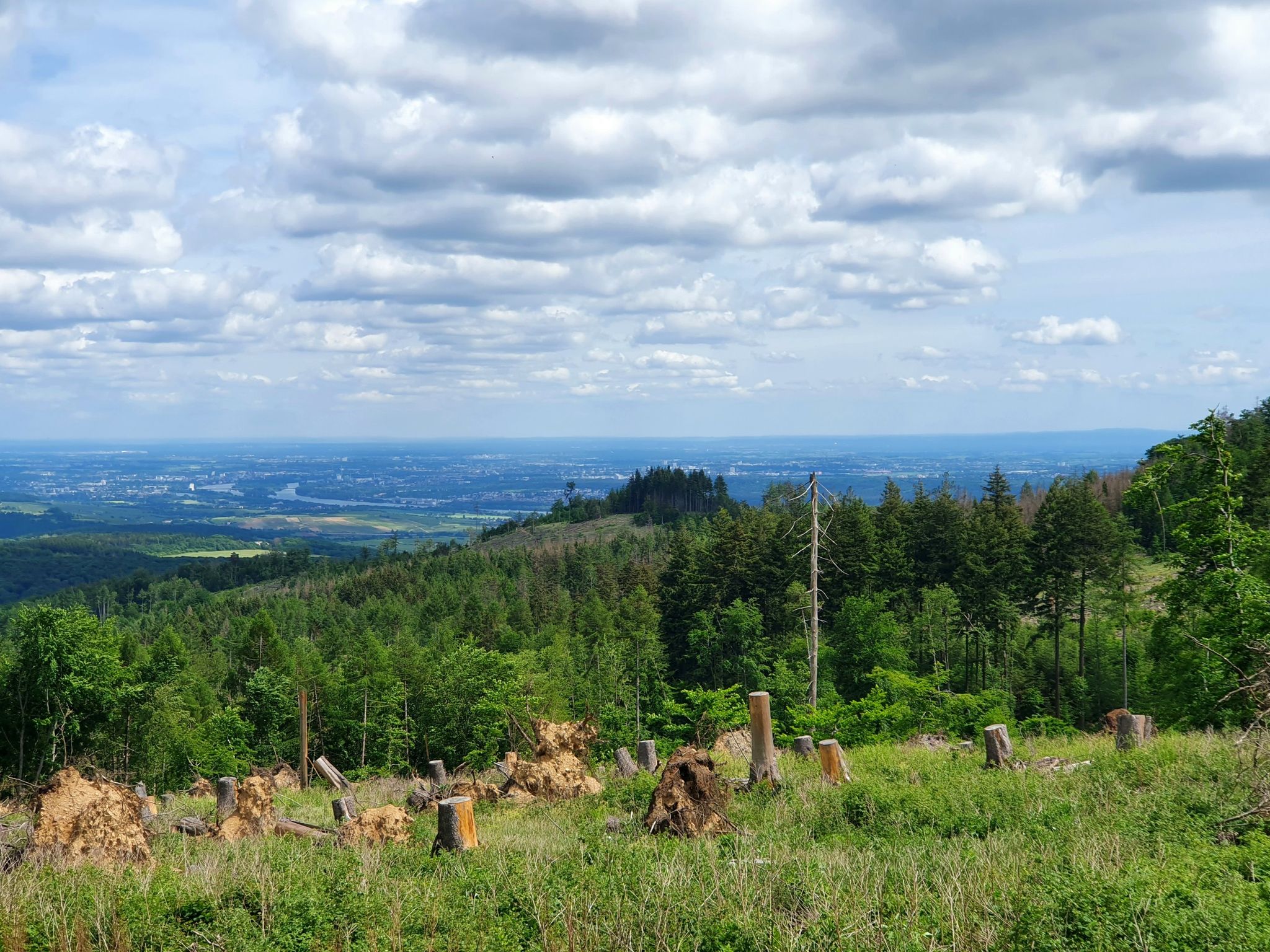 Von diesem Standort waren auch der Große Feldberg und die Frankfurter Skyline zu sehen