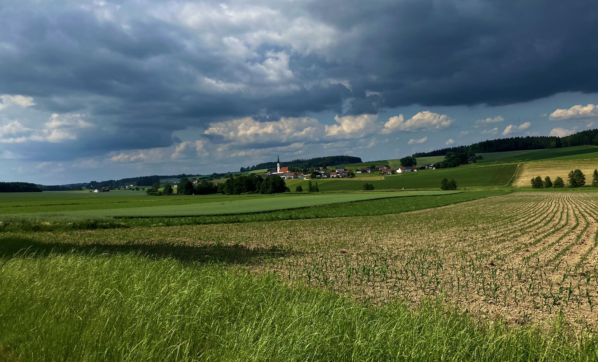 Kommt ein Gewitter ⛈️?!