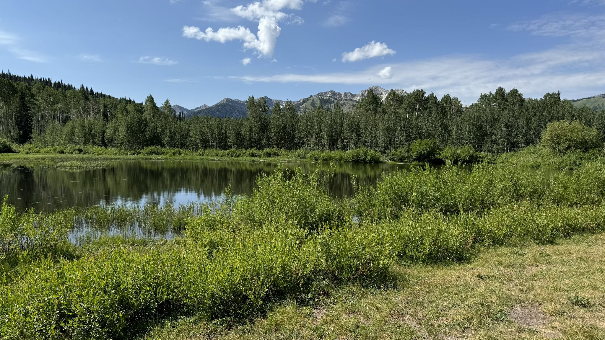 Calm lake with green bushes, dense forest, and mountains under a blue sky. - Willow Lake loop from Solitude Mountain Resort