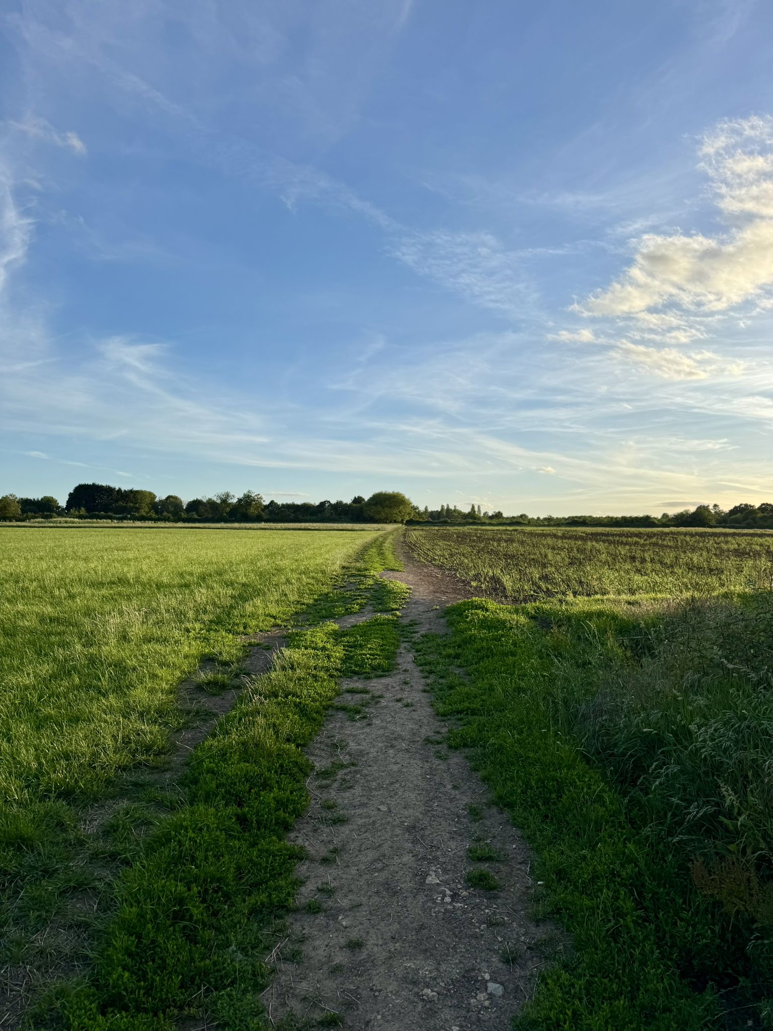 Monks Path