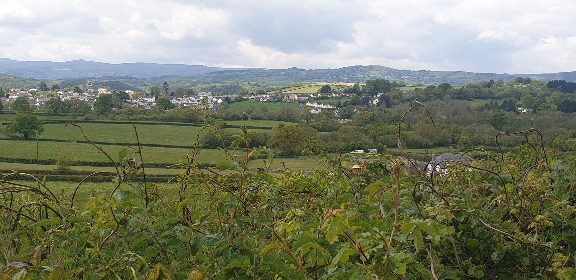view from Horsegate hill
