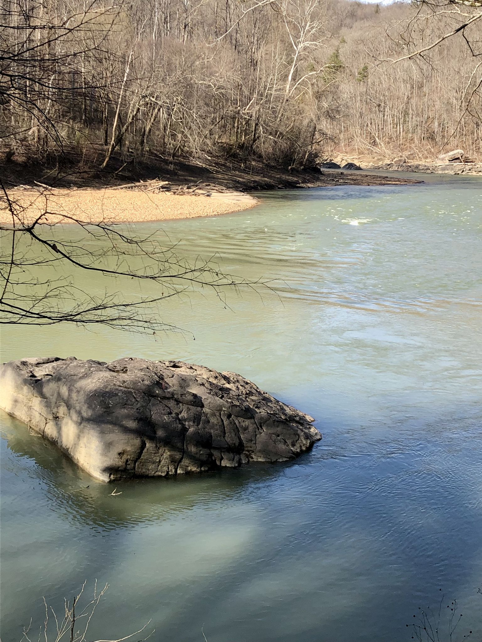 A wide river with a large rock and sandy bank under a bright sky. - Sheltowee Trace and Negro Creek Trail Loop