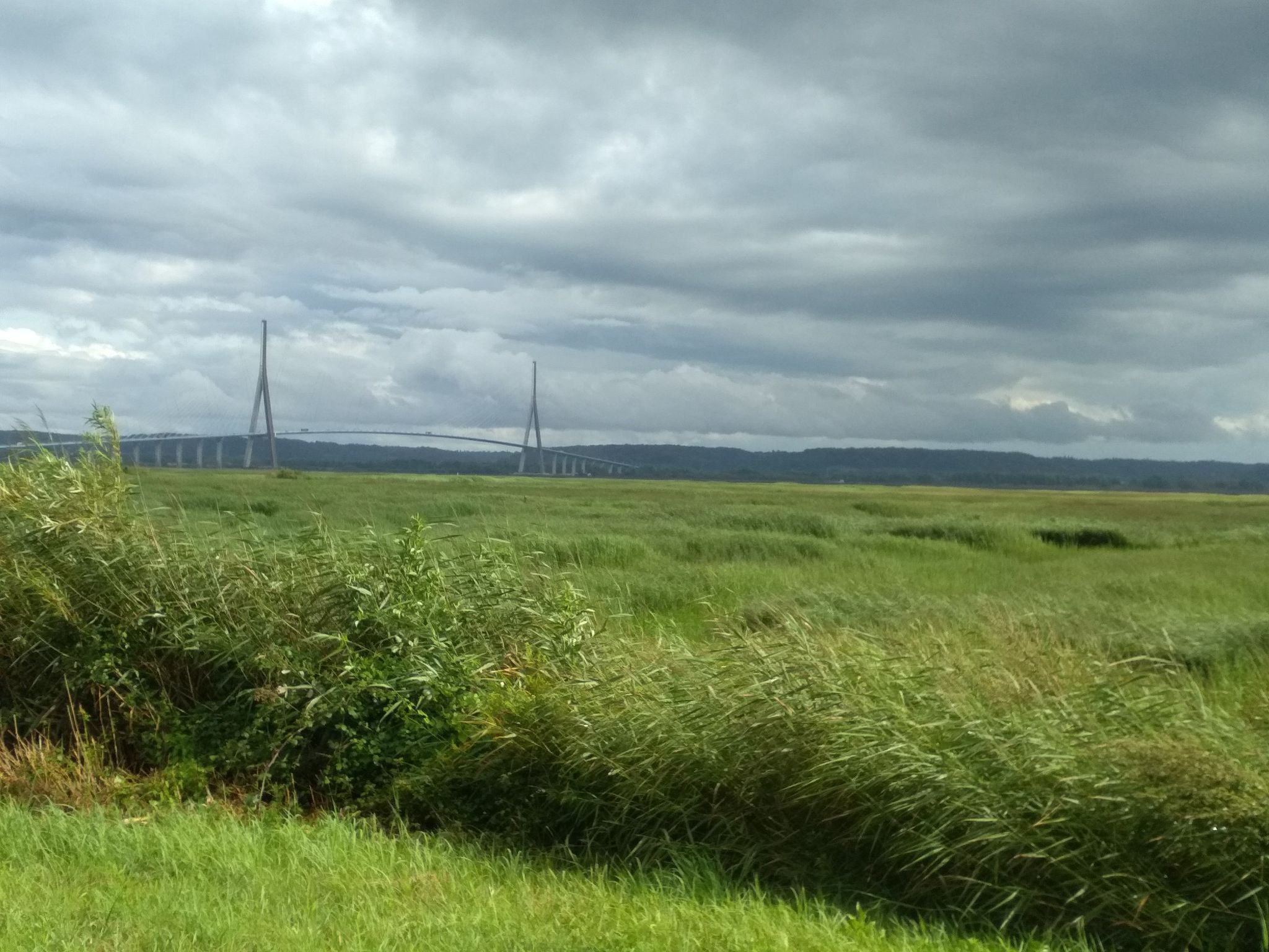 vue sur le pont de normandie