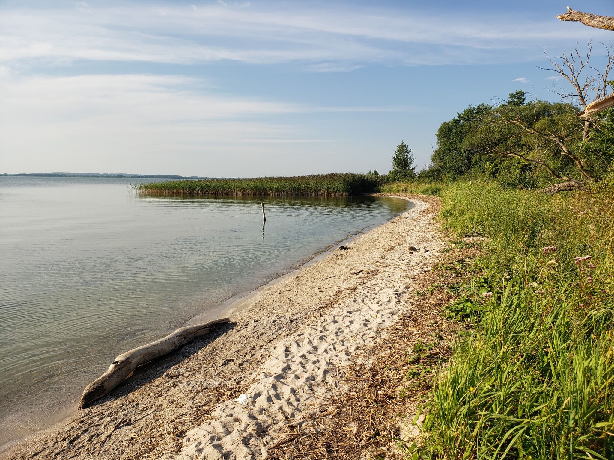 Und dann auch ein heimlichUnd dann noch ein heimlicher Strand zum Badener Strand zum Baden
