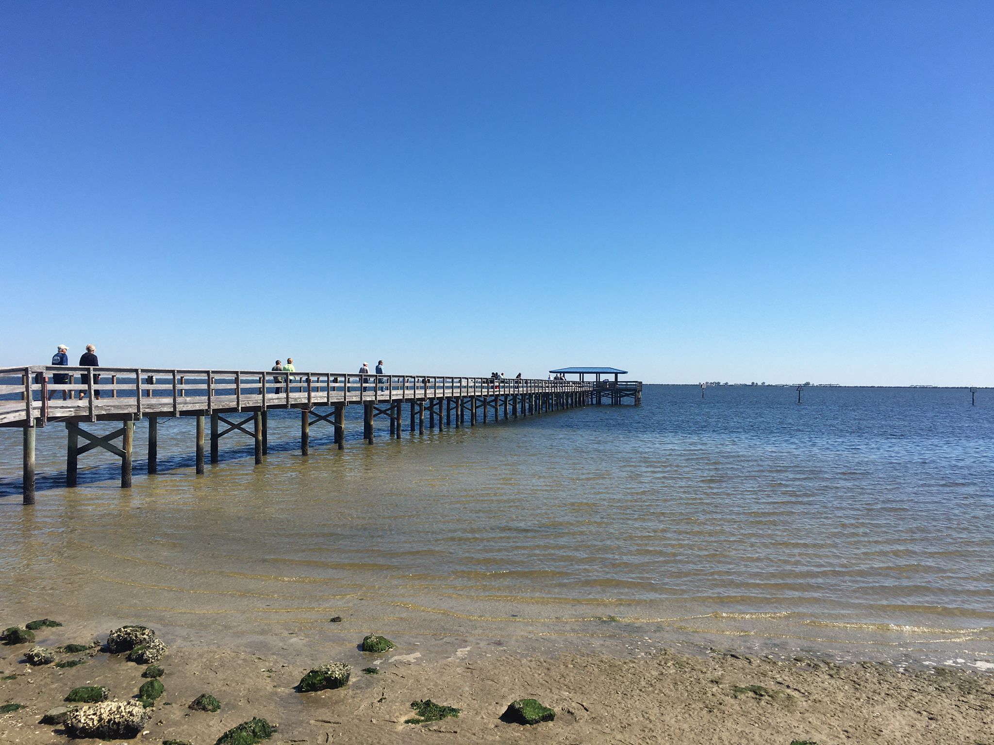 People walk on a long wooden pier extending into calm water, clear sky. - Safety Harbor Fountain – Safety Harbor Marina loop from Safety Harbor
