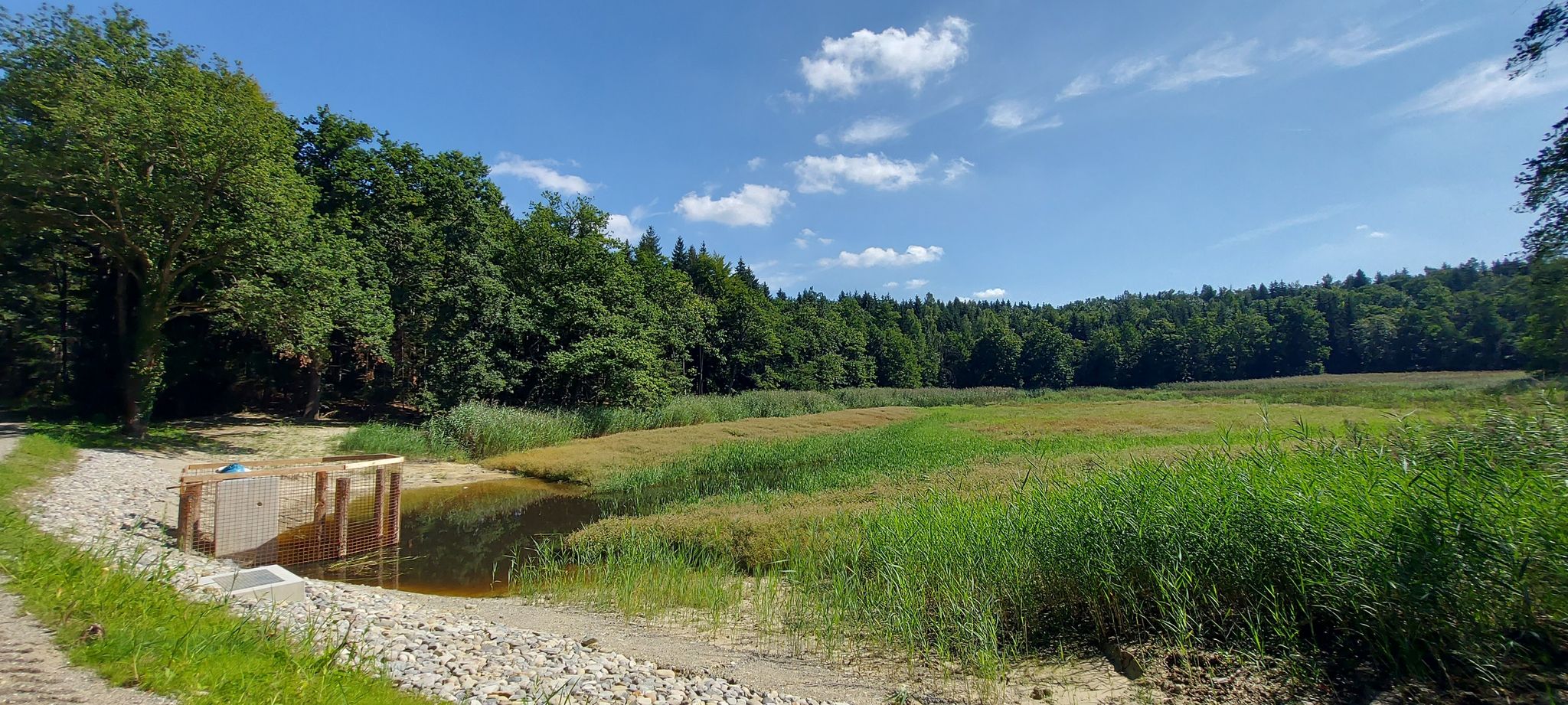 Schanzwiesweiher mit noch weniger Wasser