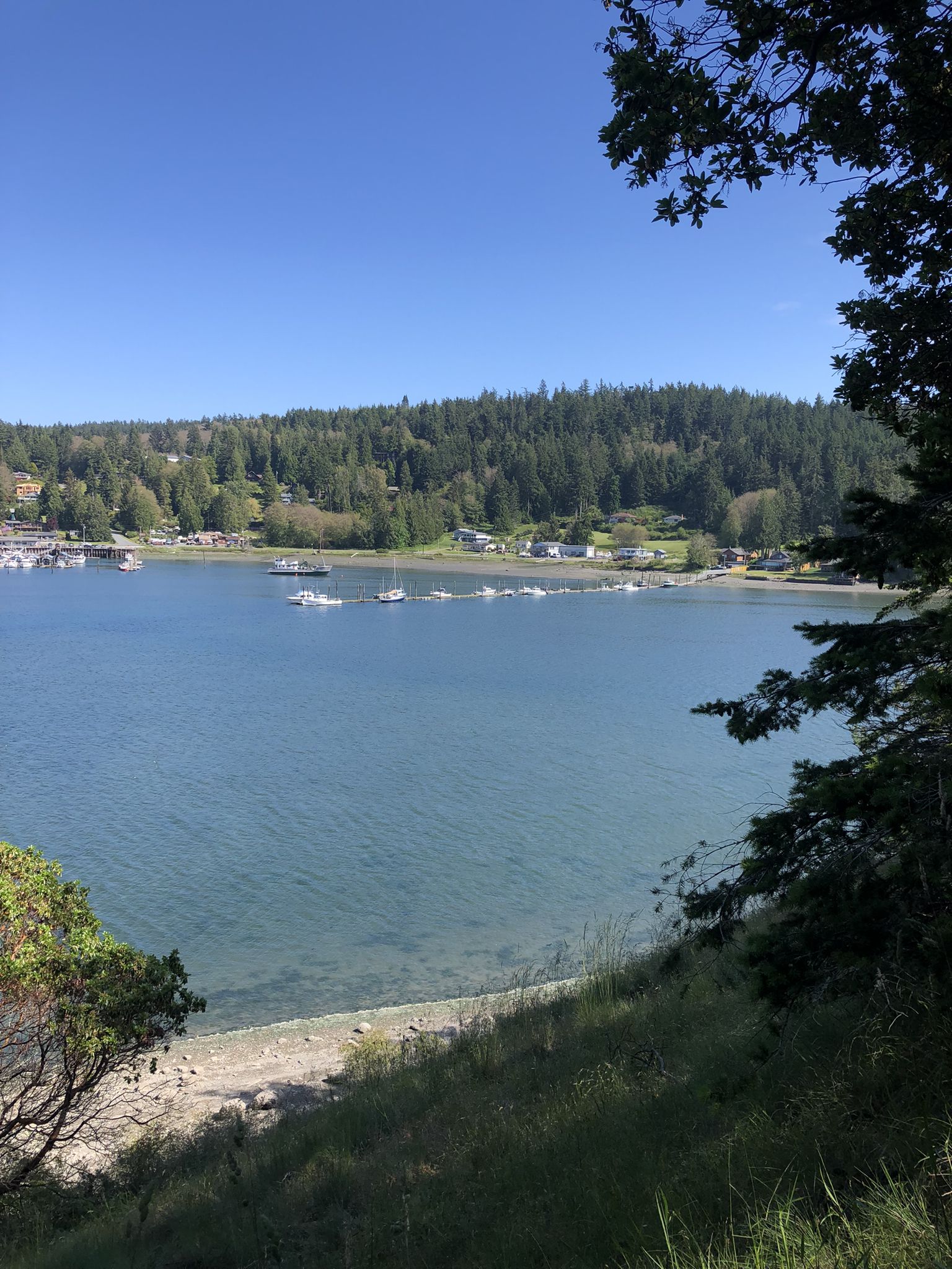 Sunny bay with boats, forested hills, and distant houses under blue sky. - Goose Rock Perimeter and Summit Trail