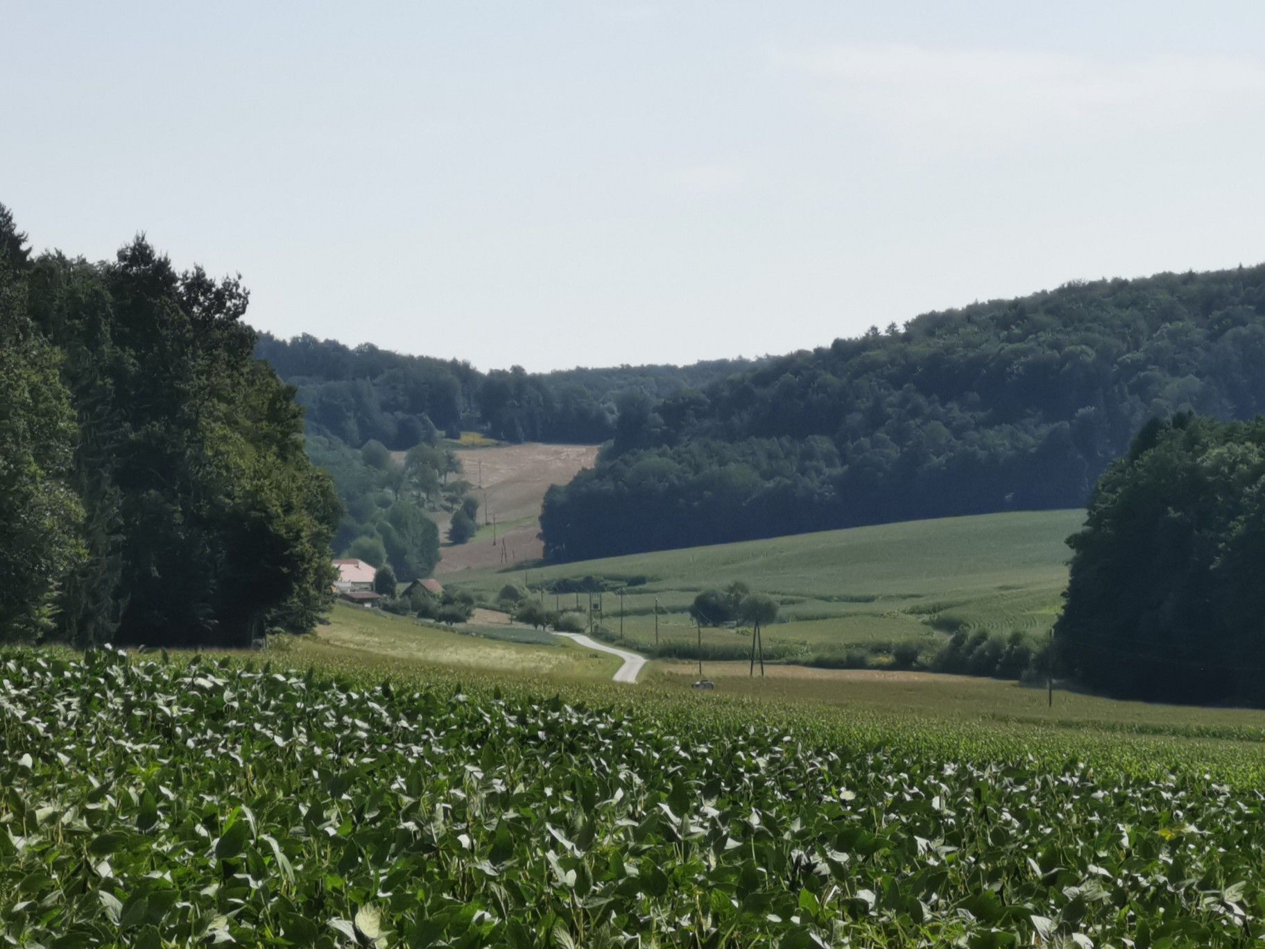 ... schöne Landschaft mit viel Wald 👍😊