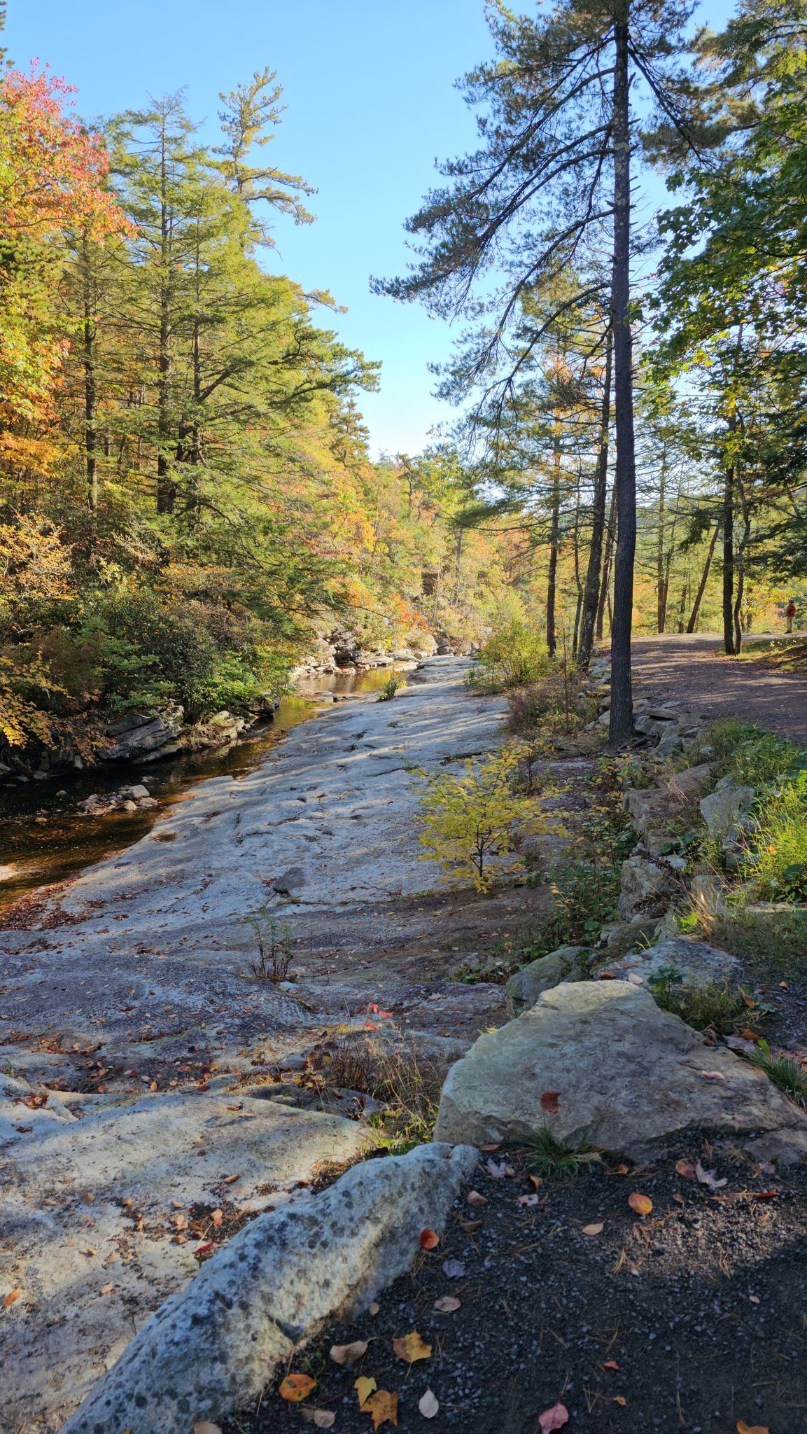 Rocky riverbed alongside a forest with autumn foliage under a clear blue sky. - Wawarsing Turnpike, Jenny Lane and Mossy Glen Loop