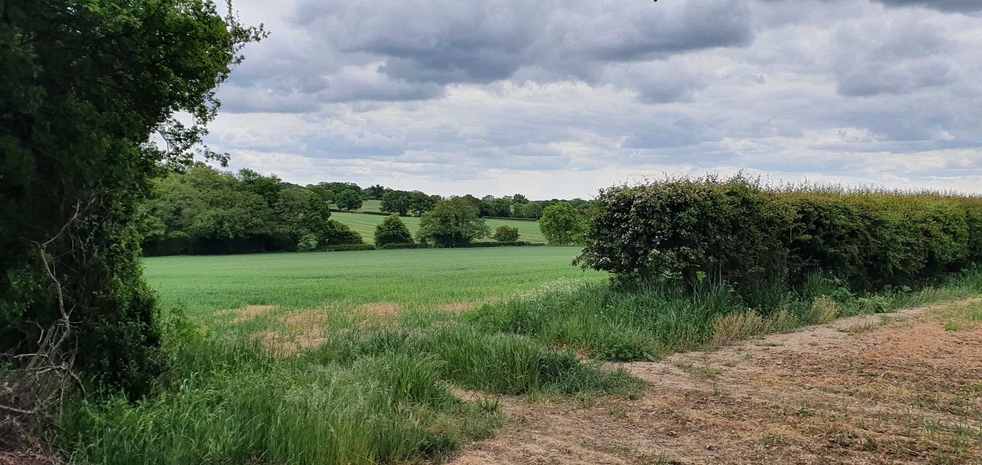 highhouse woods