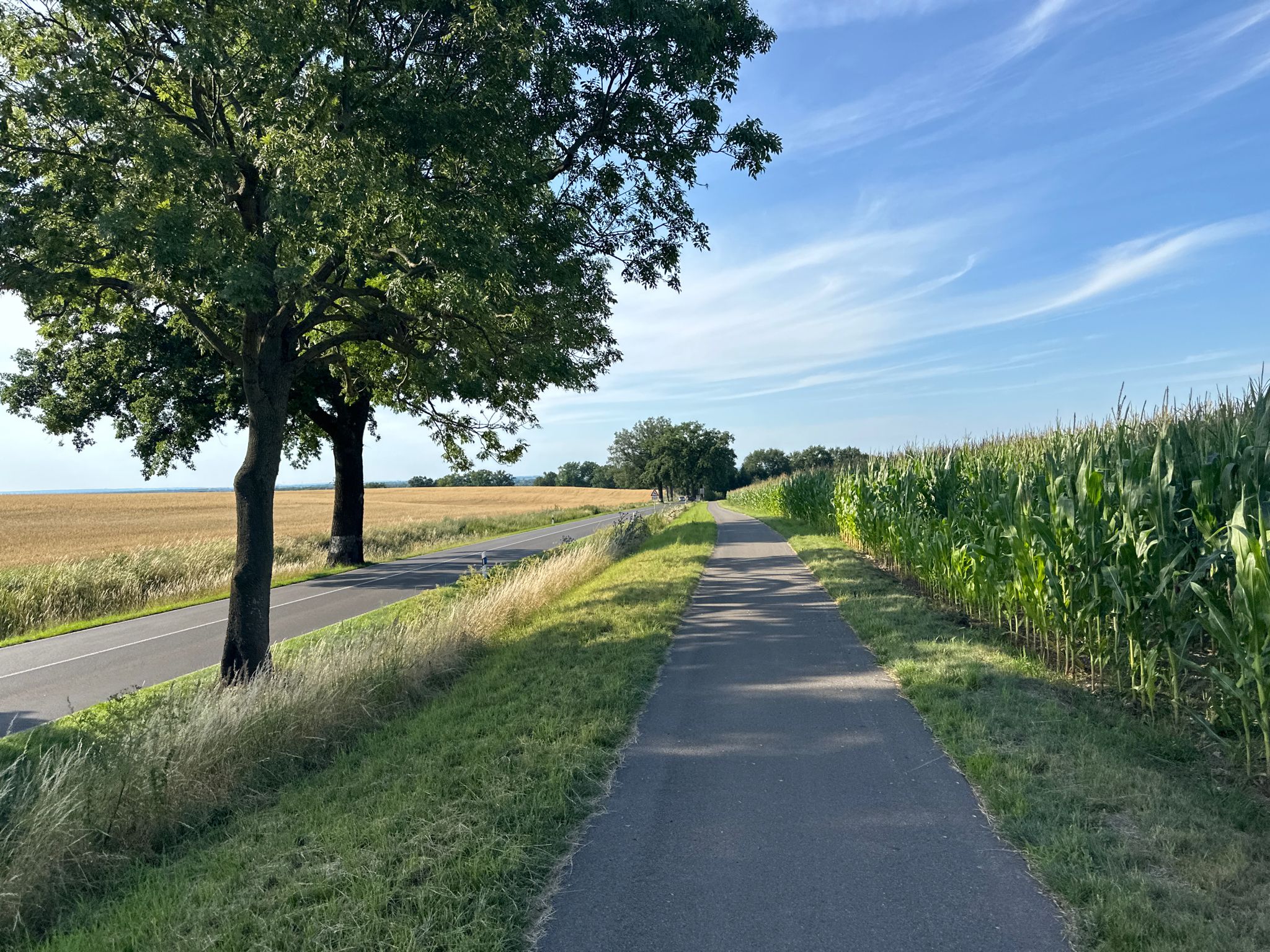 Kreuzung bis Gusow, Radweg