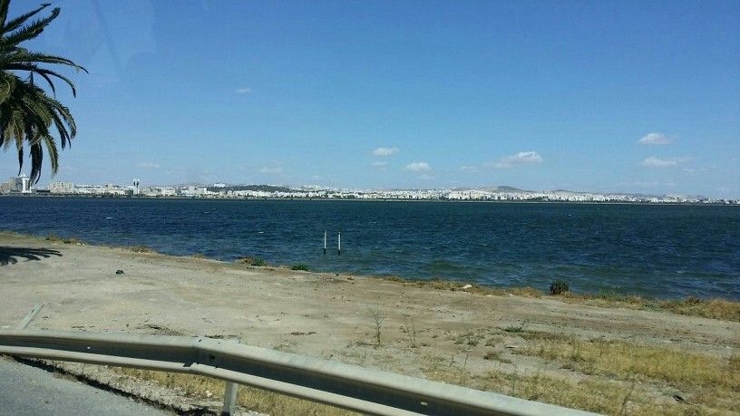 Tunis
