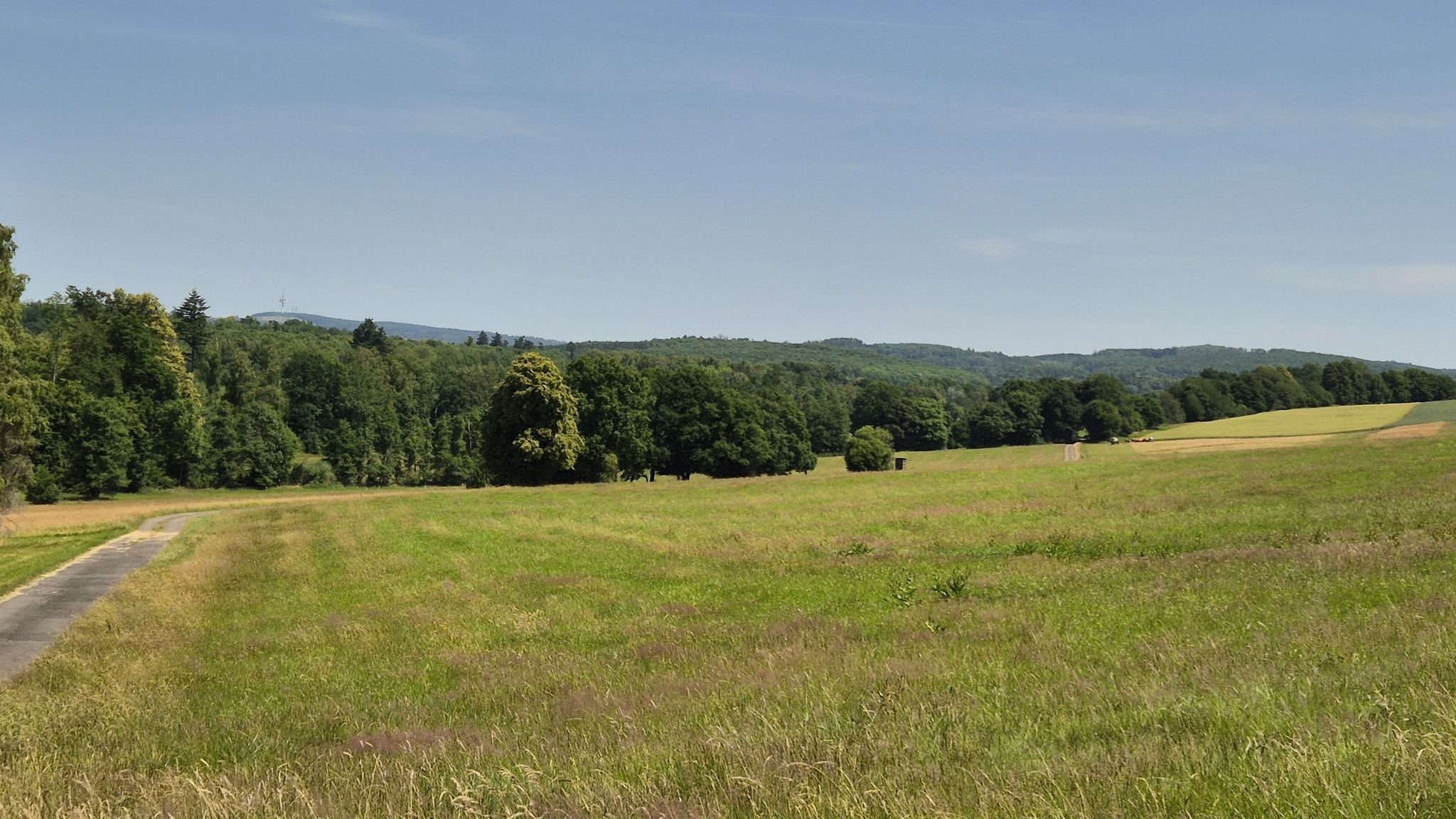 Am Spiesweiher