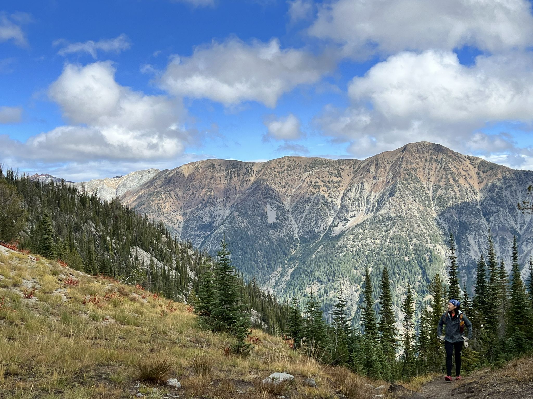 A person hikes on a sunny mountain trail with vast peaks and forests. - Maxwell Lake Trail