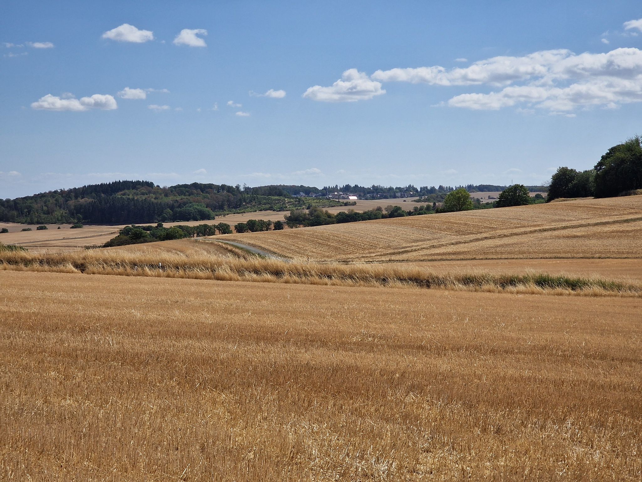 Merzhausen hinter den abgeernteten Äckern