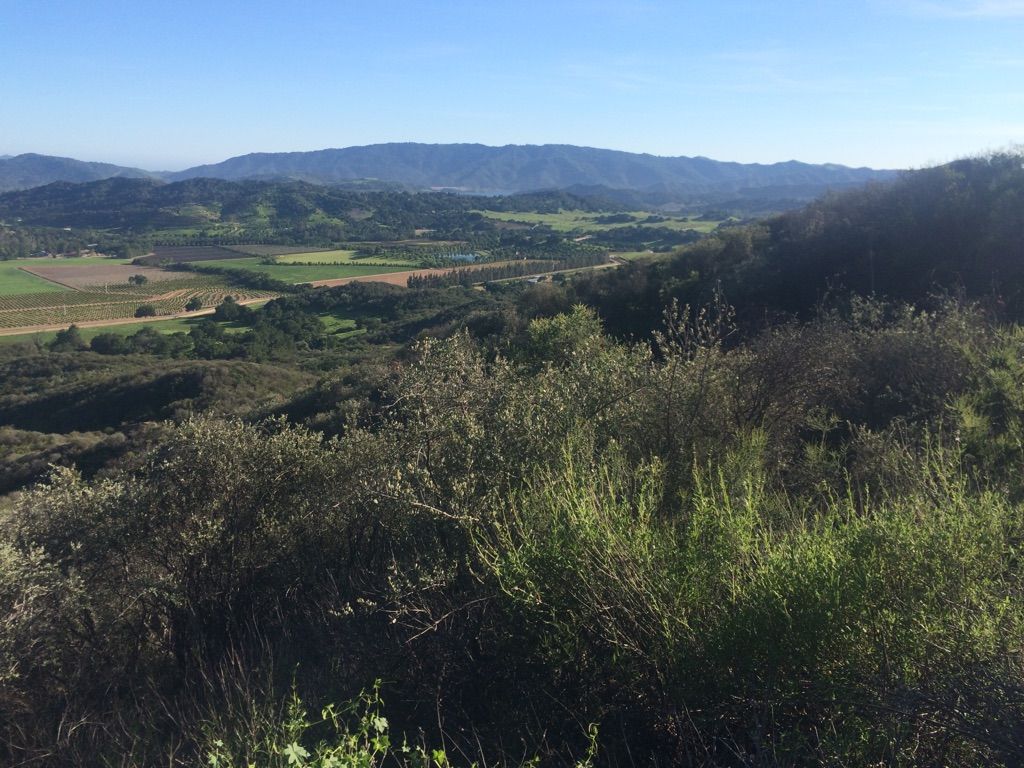 Towards Casitas